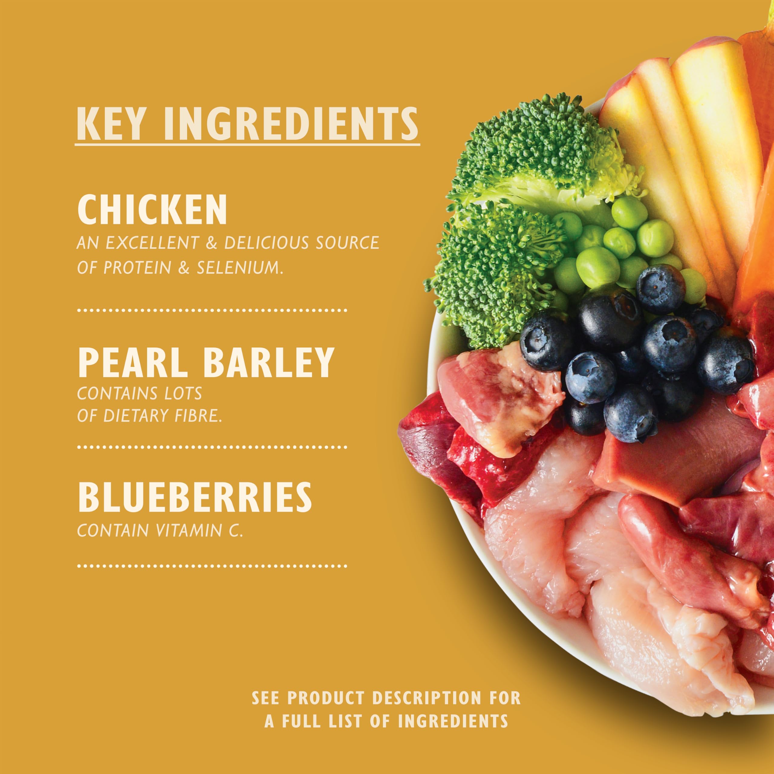 Lily's Kitchen Natural Adult Dog Food Wet Trays - Classic Dinners Multipack (6 x 150g) 2