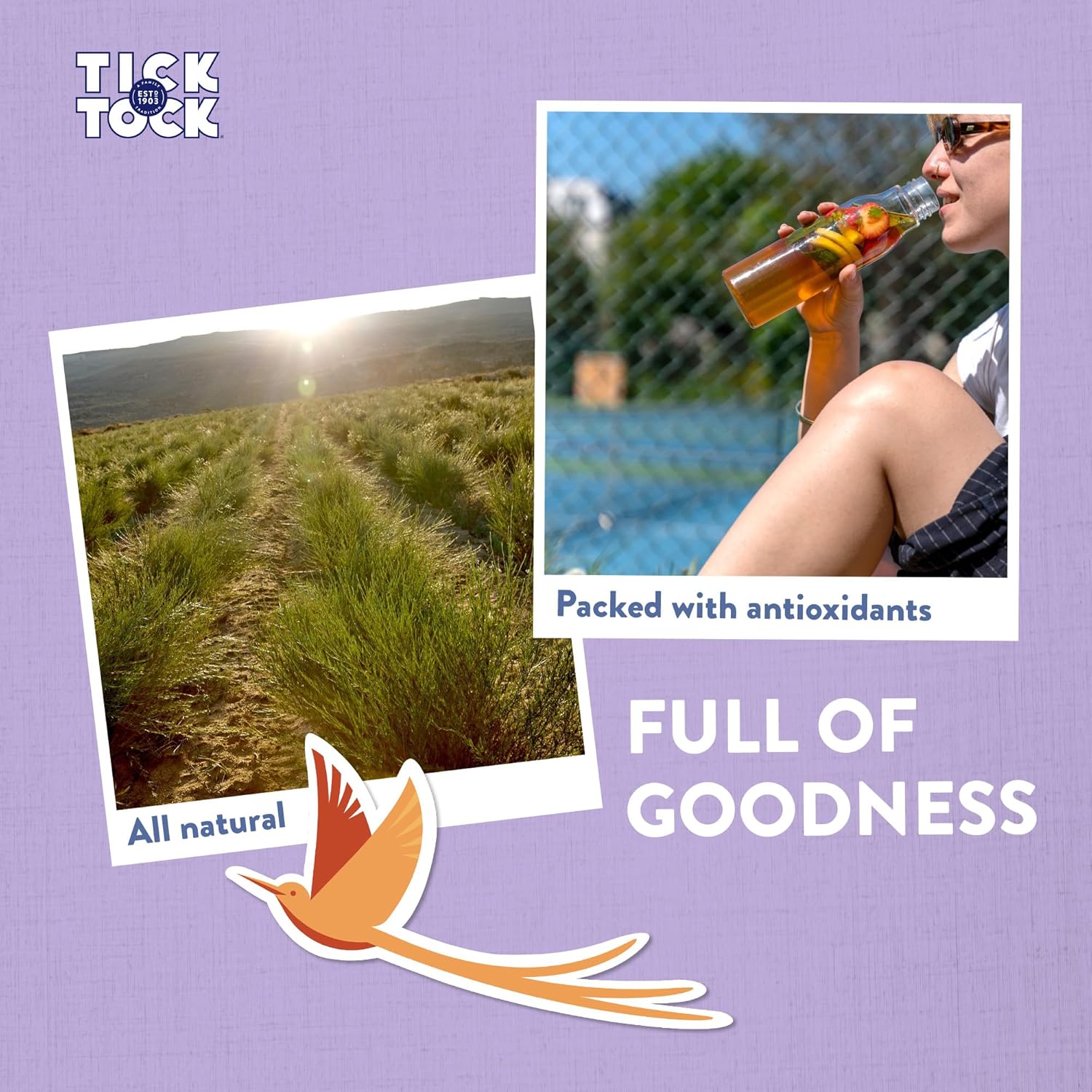 Tick ​​Tock Bio Rooibos Tee, koffeinfrei, 160 Teebeutel (4 x 40) 5