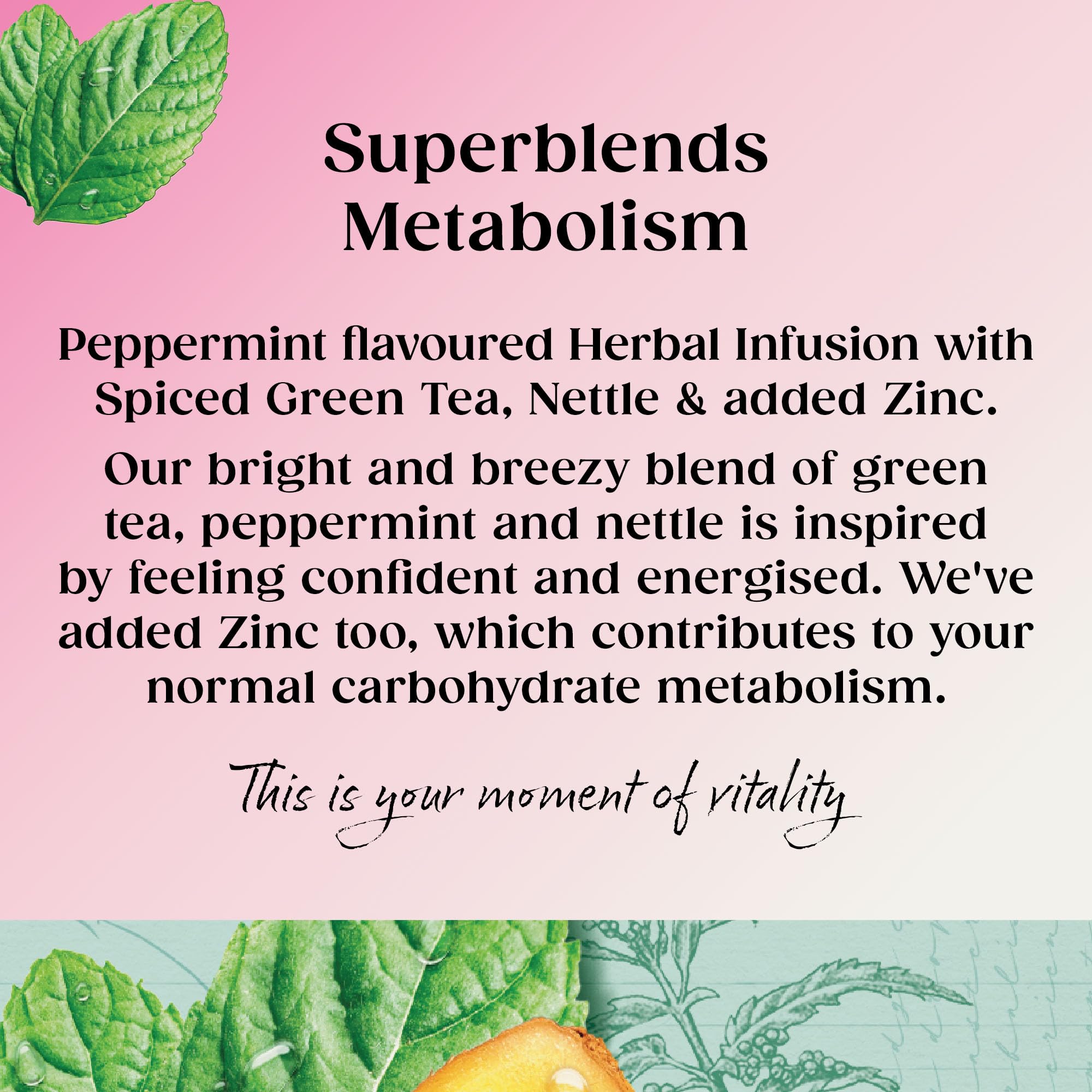 Twinings Superblends Metabolism Tea - Peppermint & Spiced Green Herbal Infusion with Nettle & Zinc, 80 Biodegradable Tea Bags 7