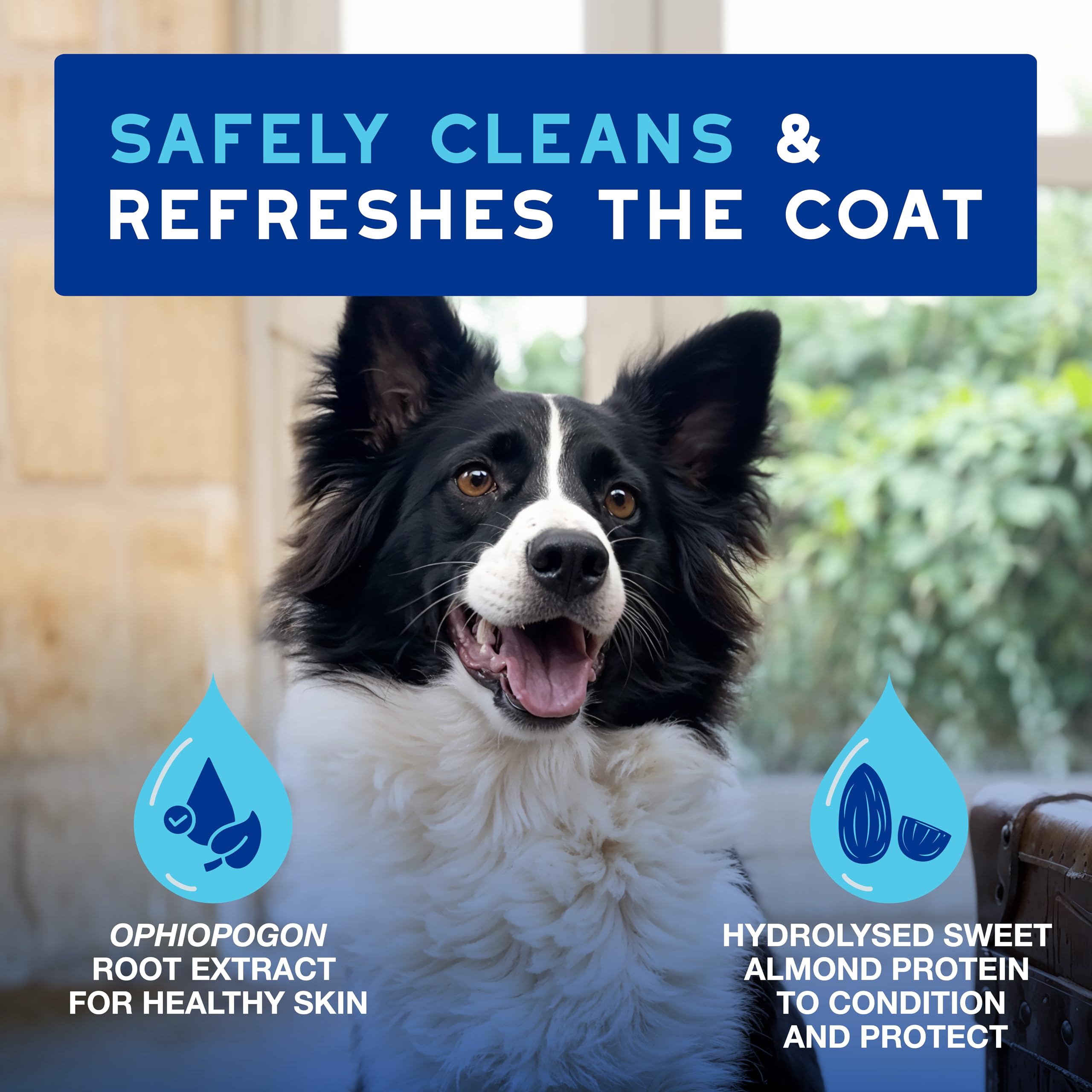 Douxo Skin & Coat SPA Quick Refresh Leave-on Mousse for Dogs - Waterless Cleansing, 150 ml
