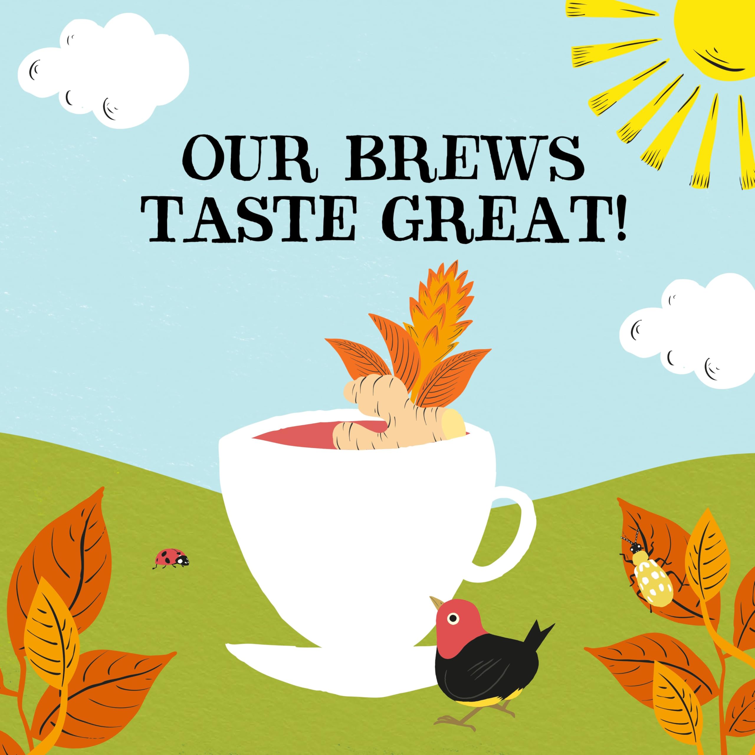 Clipper - Organic Restoring Roots Ginger & Turmeric Tea Bags | 20 Infusions 11