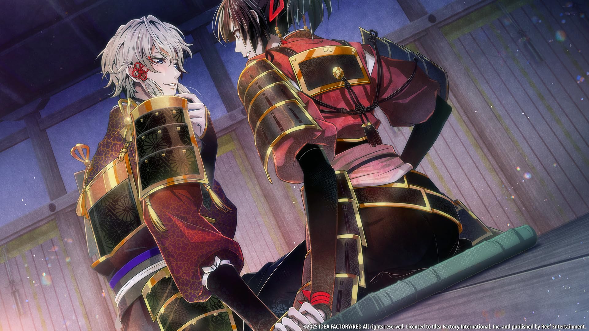 Birushana: Winds of Fate [Nintendo Switch] 4