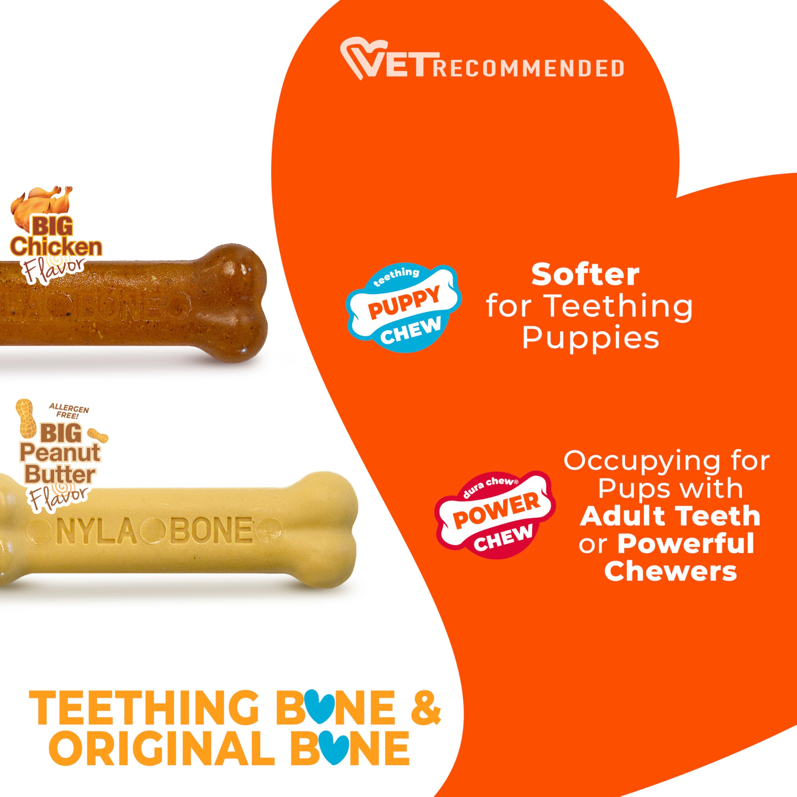 Nylabone Gentle Puppy Chew Toy Bones - Chicken & Peanut Butter Flavour, XS, Up to 7kg (Twin Pack) 4