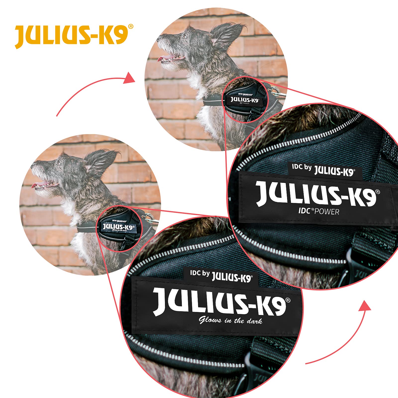 Julius-K9 IDC Powerharness - Vest Harness for Dogs | Size XS/Mini-Mini | Mixed Heart Limited Edition 7