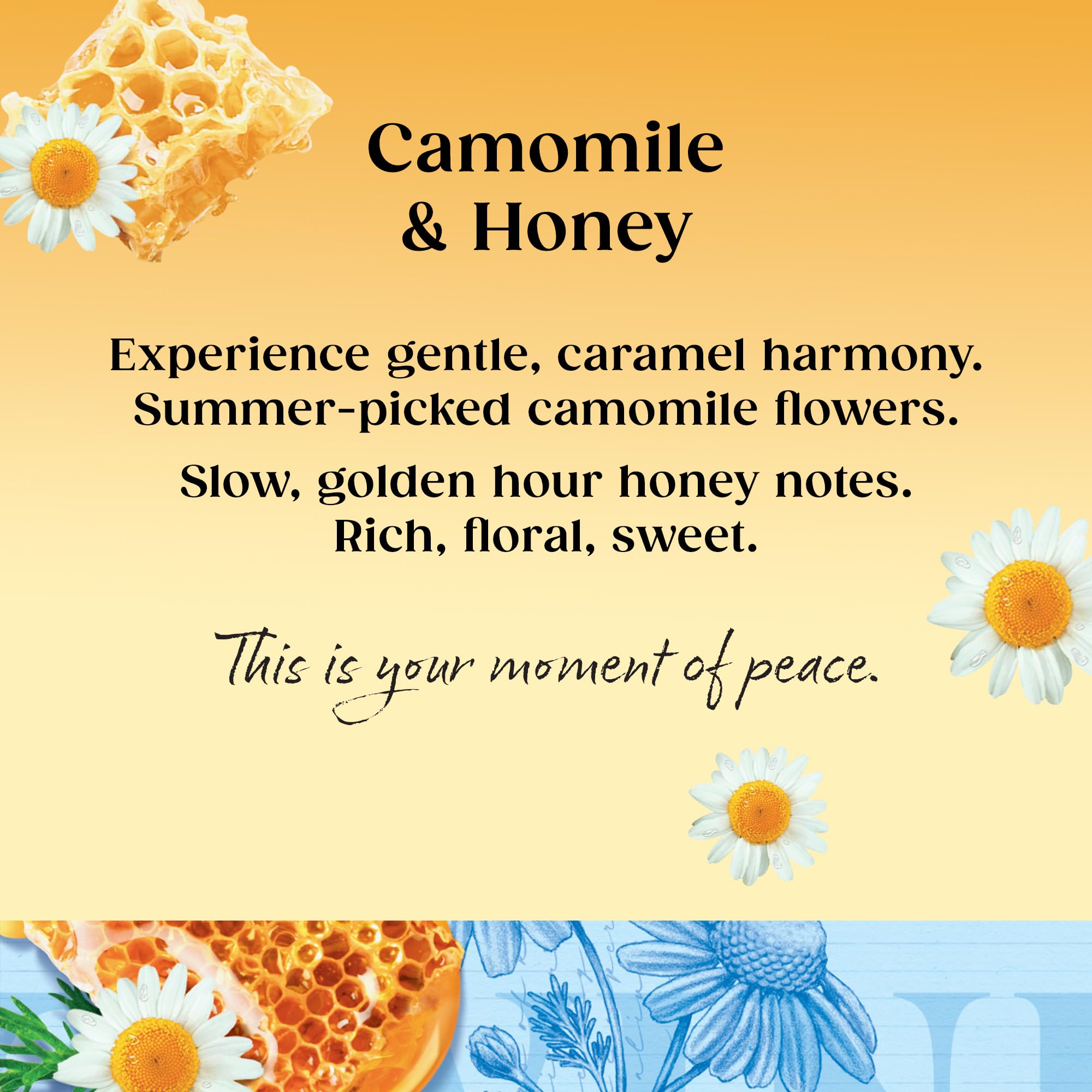 Twinings Camomile and Honey Herbal Tea - 80 Biodegradable Teabags (4 x 20 Count) 3