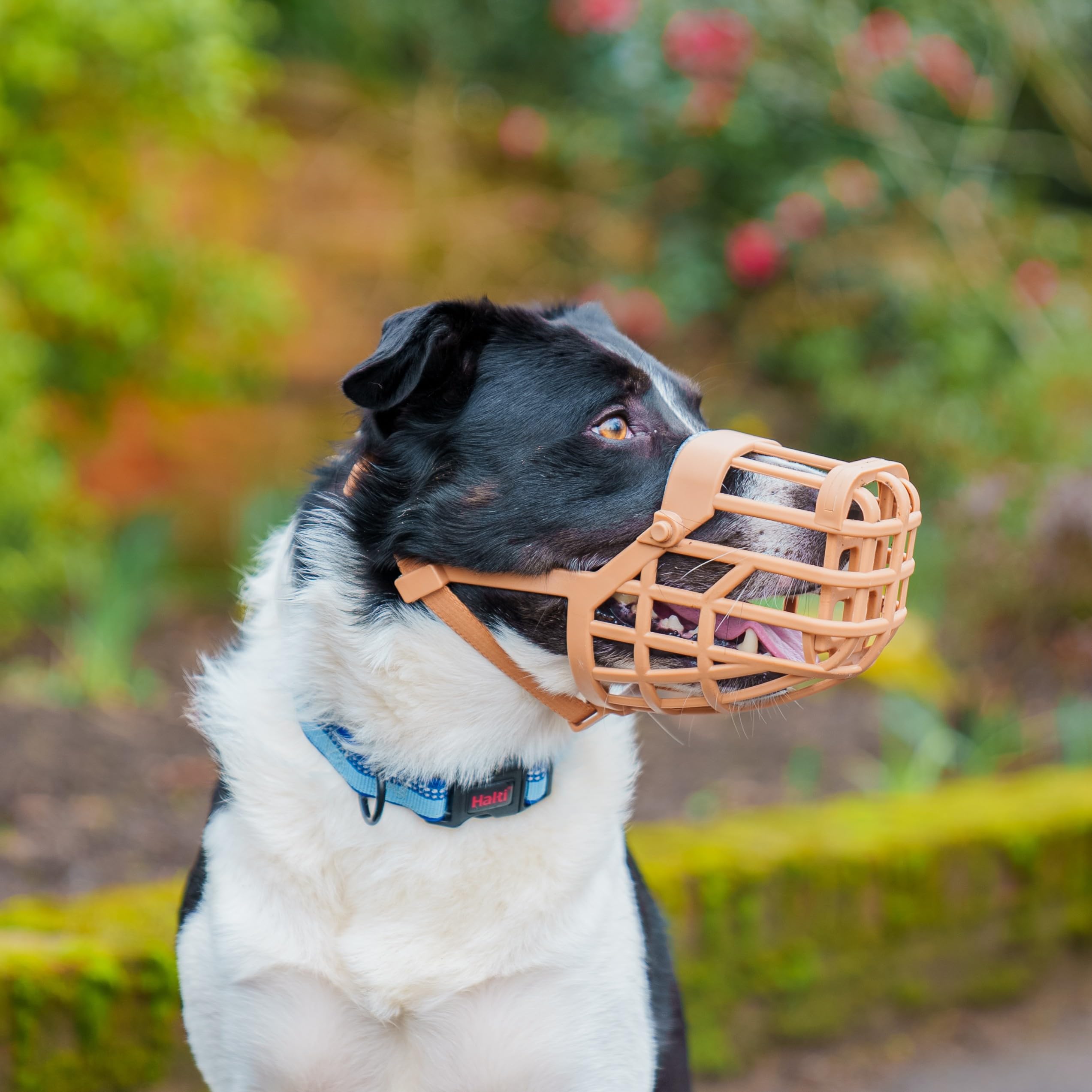 Baskerville Classic Basket Muzzle - Size 3 Brown | Prevents Biting & Scavenging | Dog Muzzle