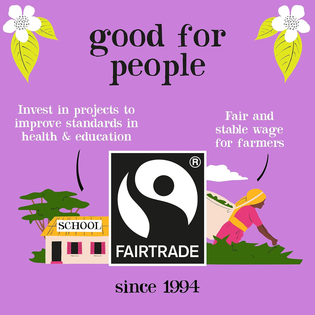 Clipper Fairtrade Everyday One Cup Teabags (440 Teabags)