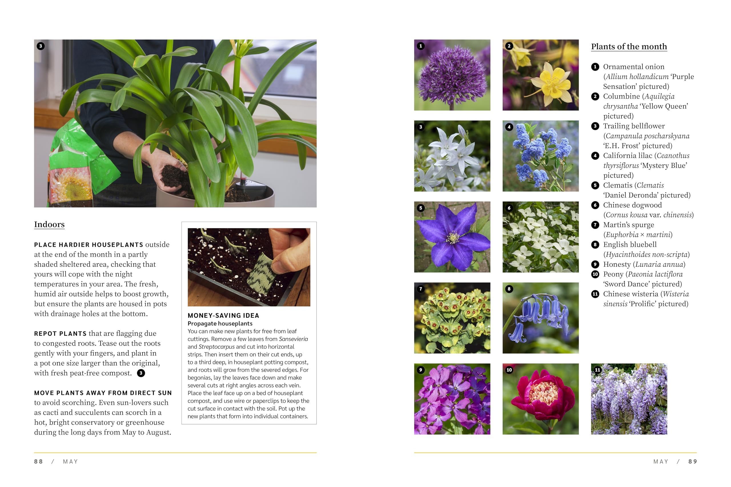 Royal Horticultural Society The Garden Almanac 2027 - Month-by-Month Wildlife Gardening Guide | Hardcover 3
