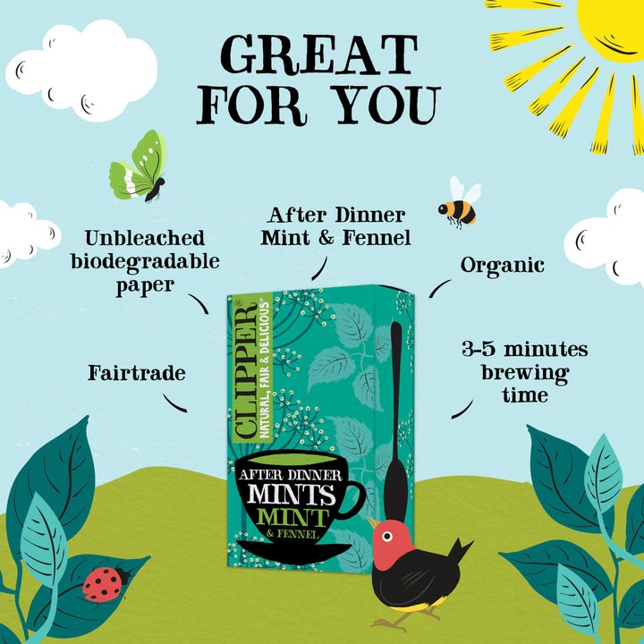 Clipper Organic After Dinner Mint & Fennel Infusion Tea Bags | 20 Unbleached Tea Sachets