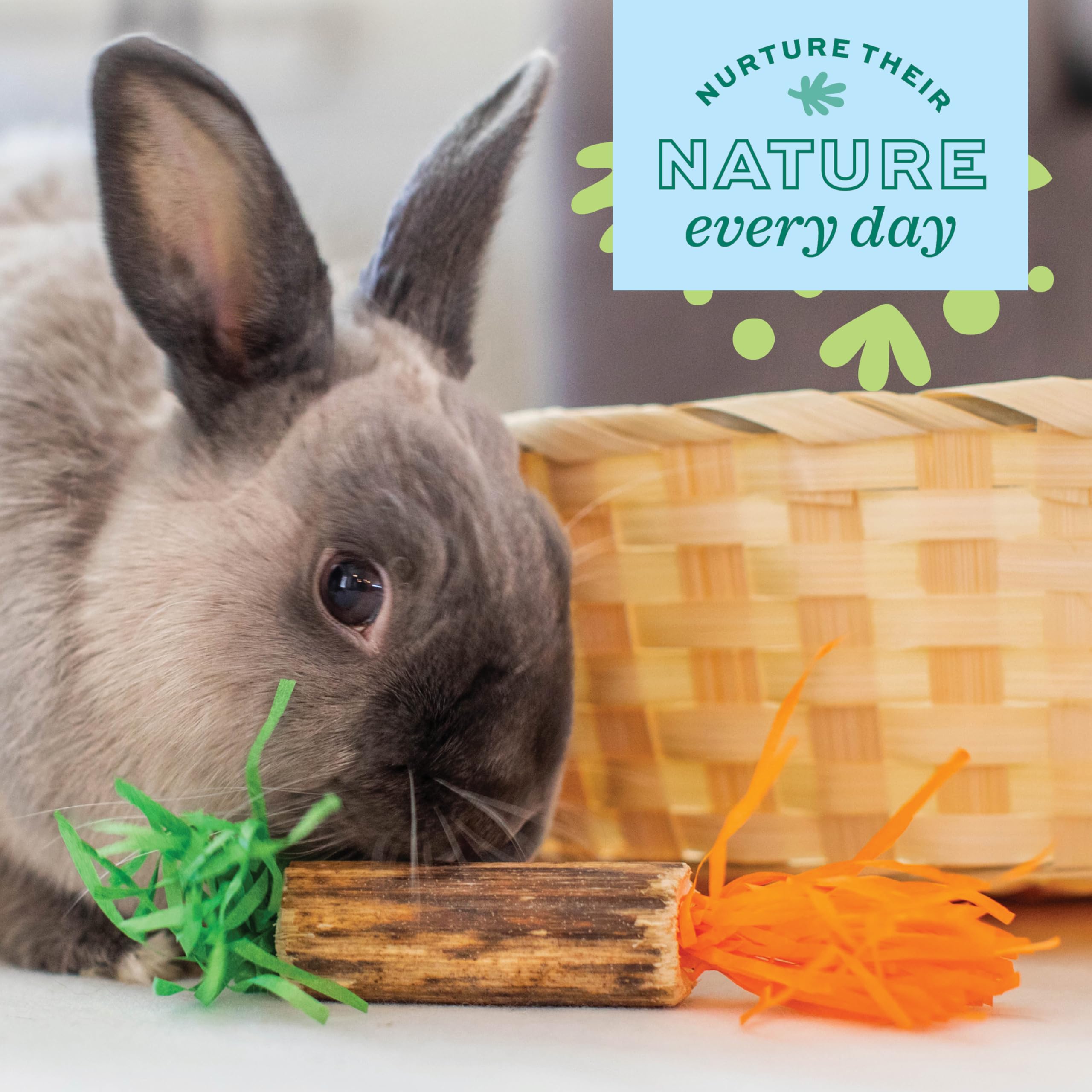 Oxbow Enriched Life Birthday Party Pack - 5 Natural Chews for Small Animals | Lightweight & Portable 4
