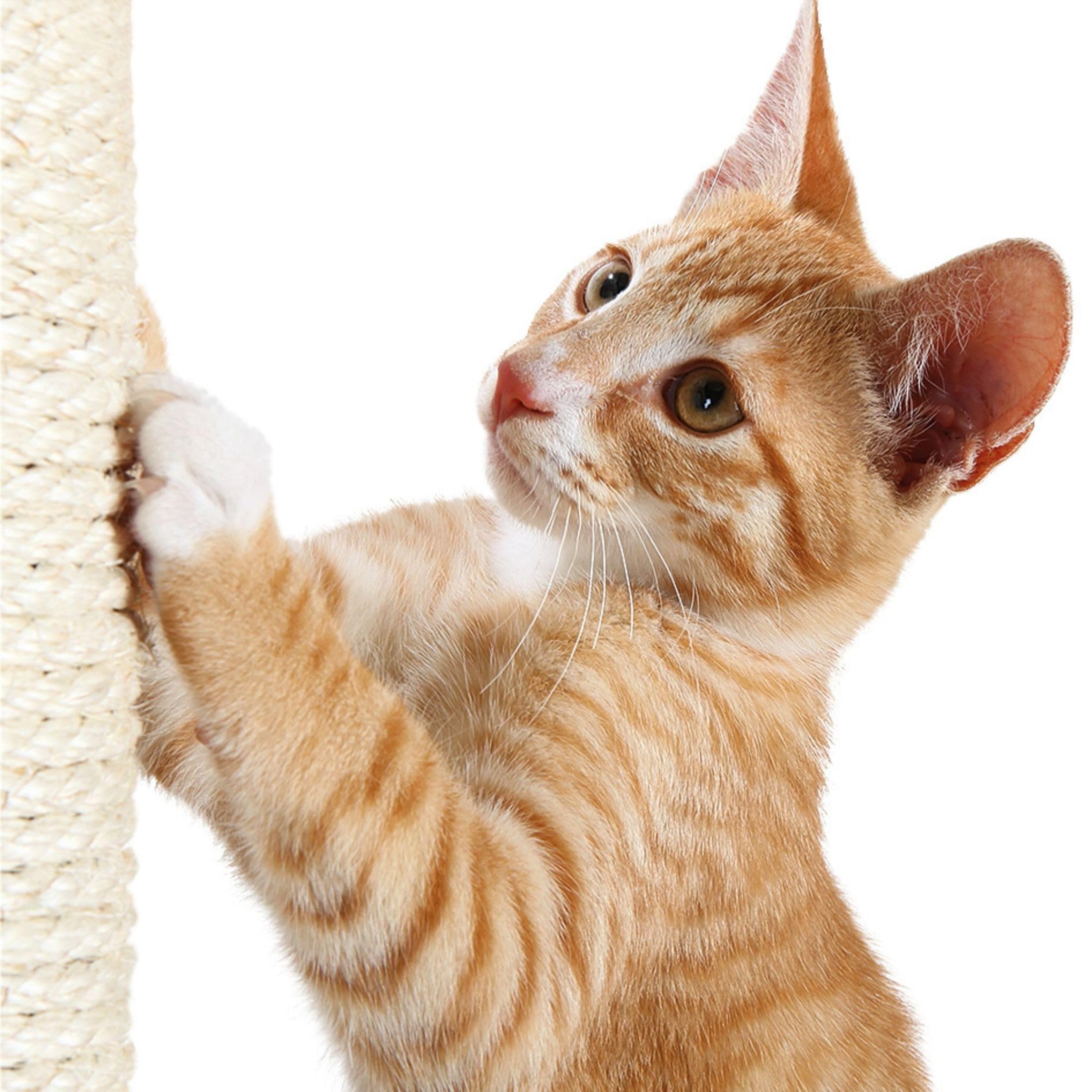 TRIXIE Spare Posts for Scratching Posts - 9/30 cm Sisal Replacement | Fits Most Cat Trees 7