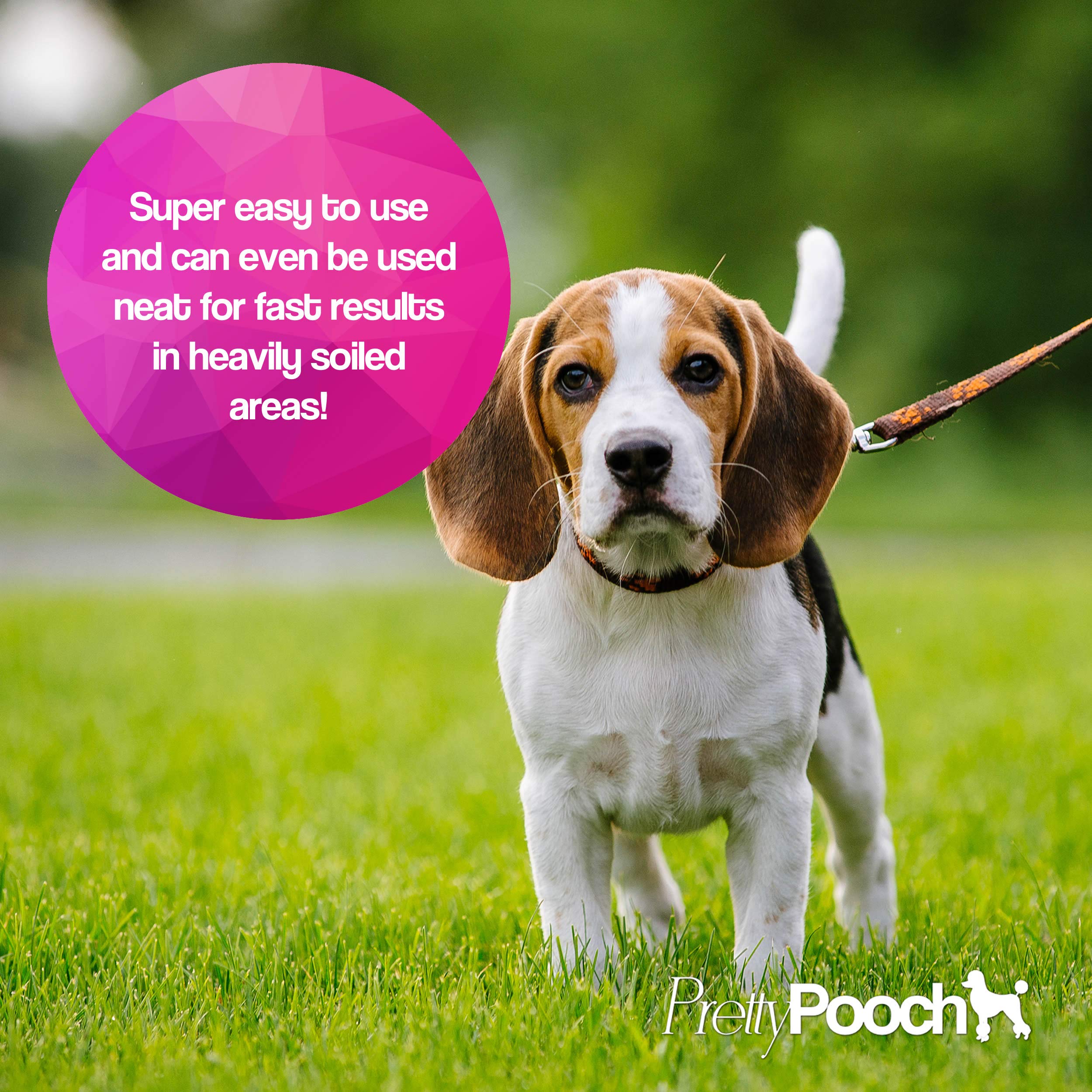 Pretty Pooch Artificial Grass Cleaner - Super Concentrate Formula | 1L | Fresh Cut Grass Scent 3