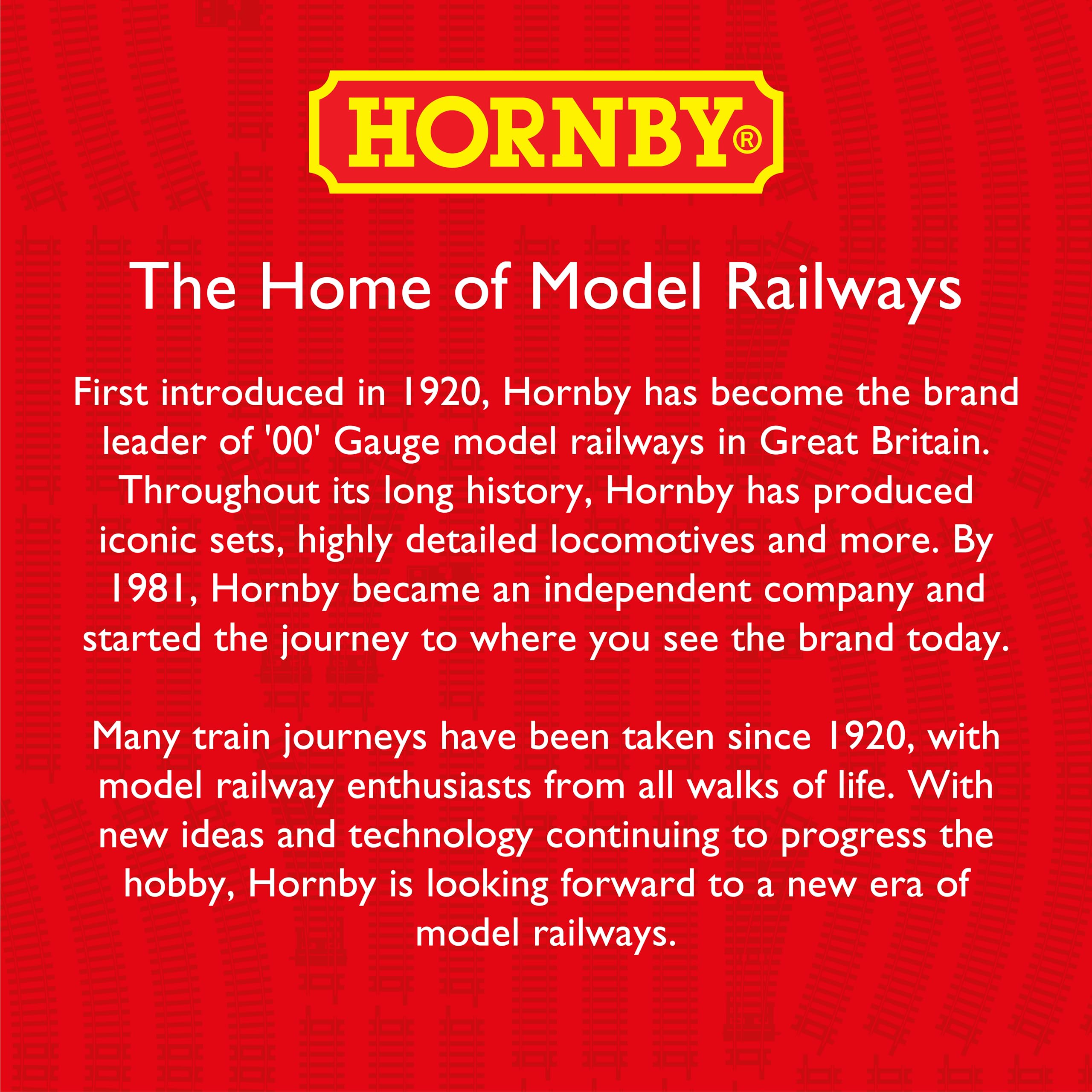 Hornby R920 Non-Conductive Insulated Fishplates for OO Gauge Model Railway Track (Pack of 12)