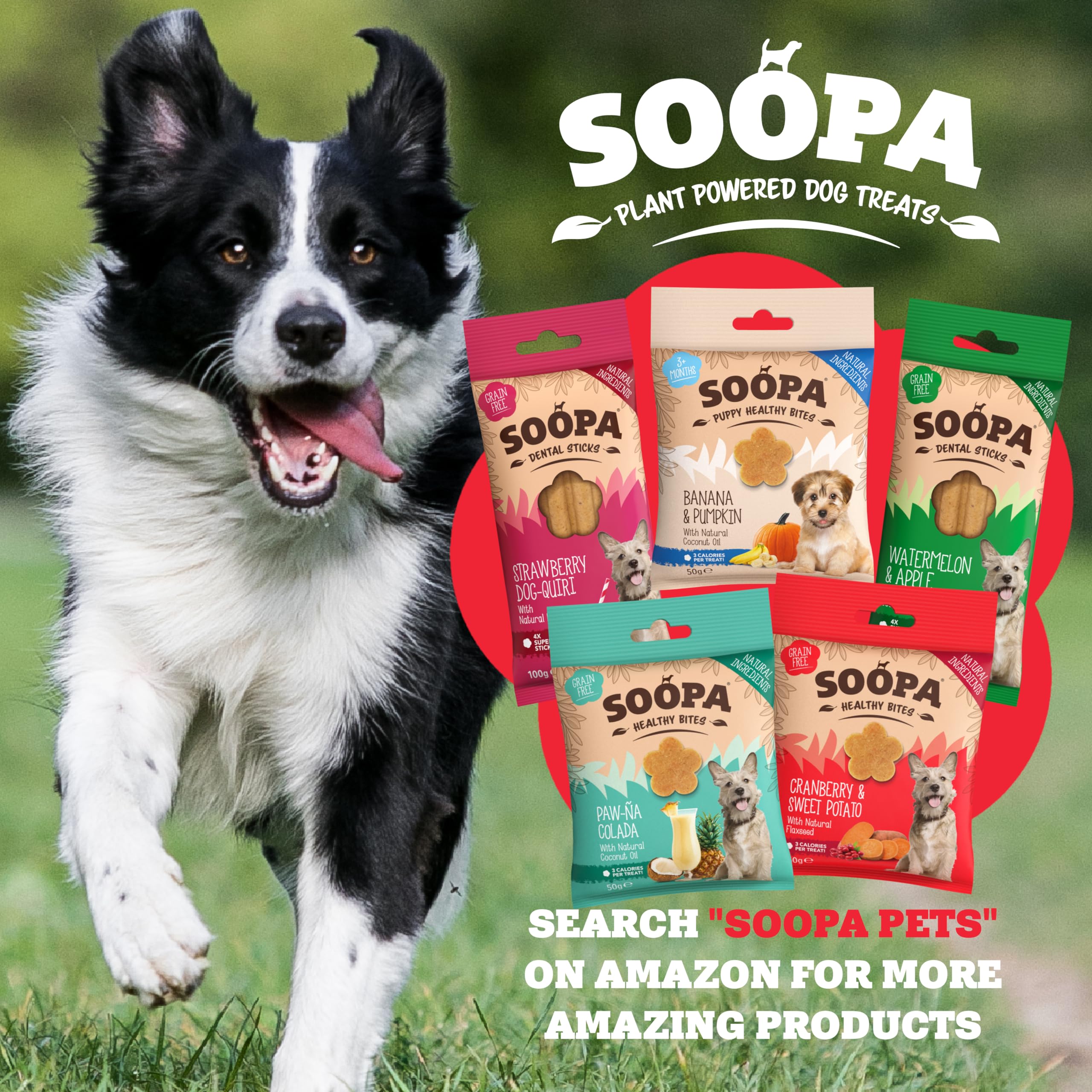 Soopa Cranberry and Sweet Potato Dental Sticks Dog Treat, Low Fat, Hypoallergenic, 100 g 8