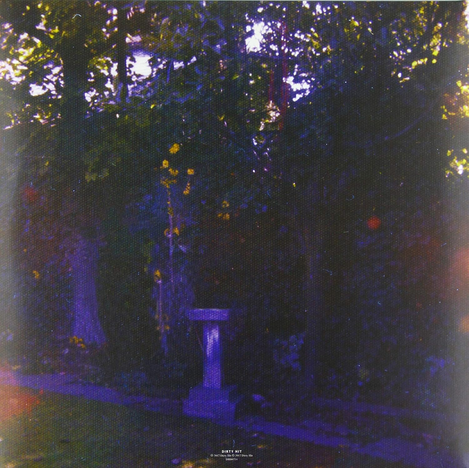 Wolf Alice - Visions Of A Life [Audio CD]