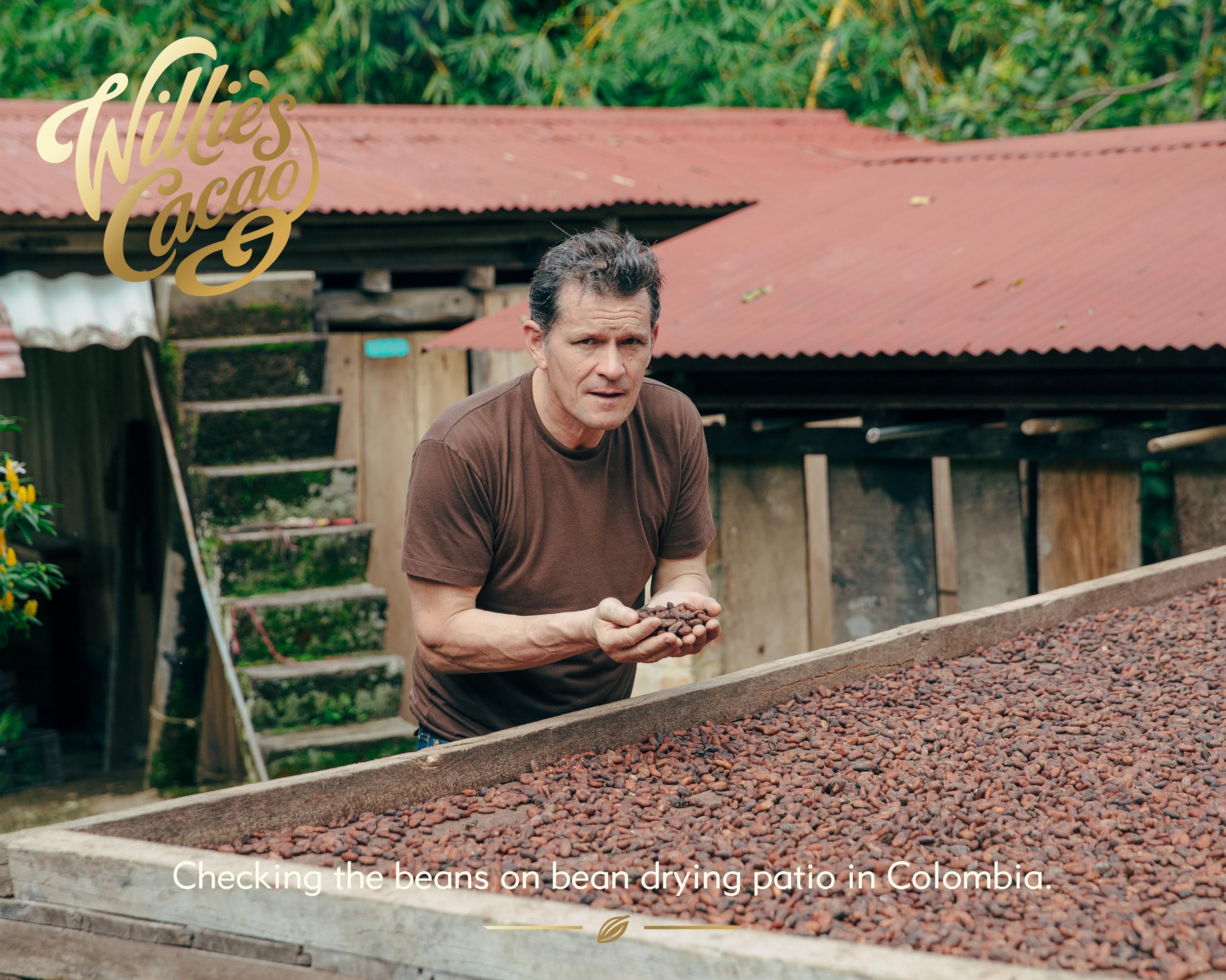 Willie's Cacao Bar - Clementina's Almonds Milk Chocolate with Clementine & Roasted Almond 50g 3