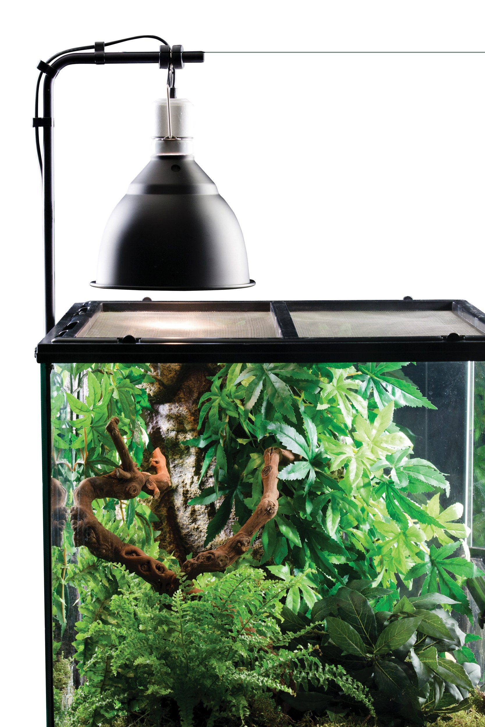Exo Terra Light Dome Bracket for Terrarium Heat Lamps | Black/Gray | Model PT2223 4
