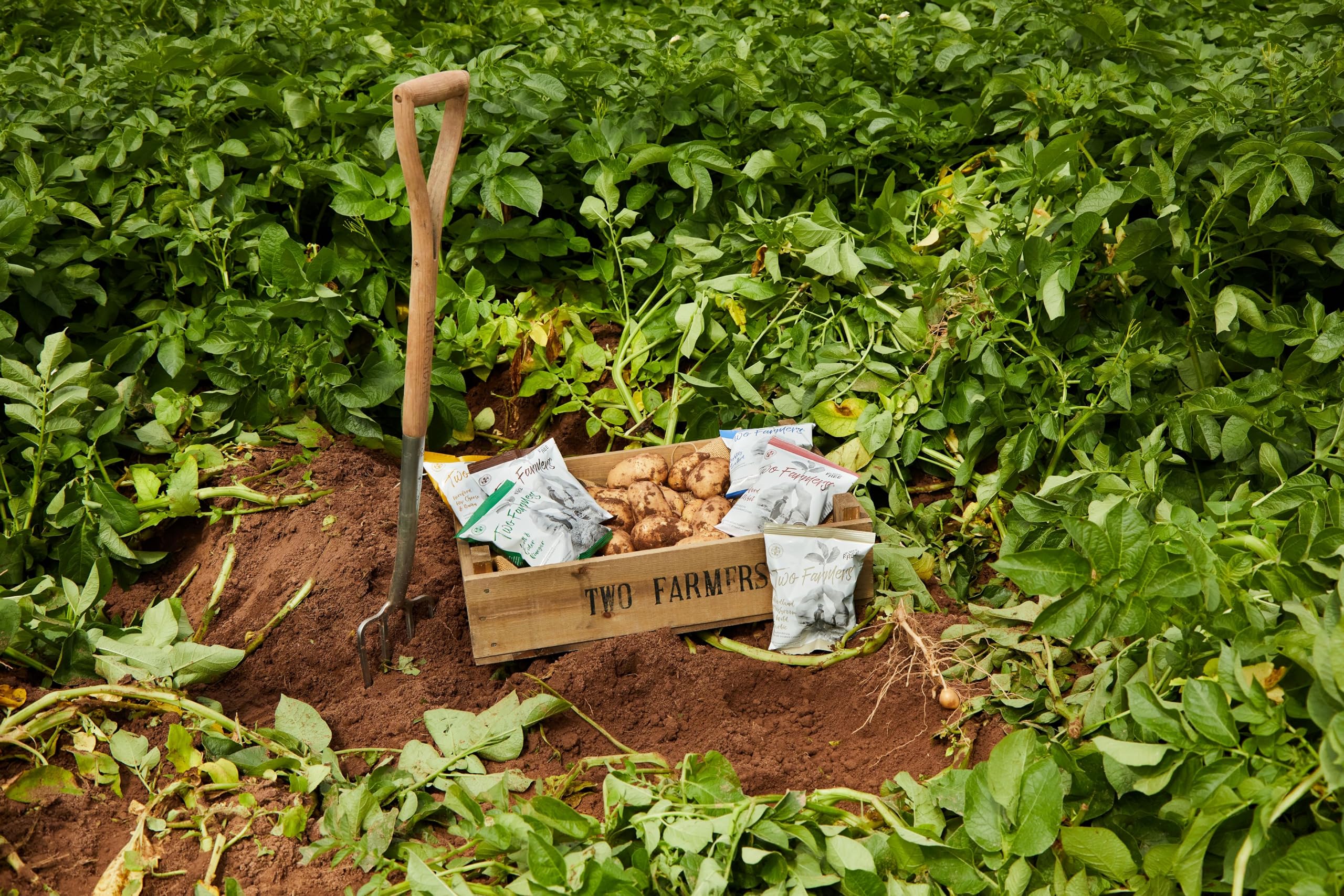 Two Farmers - Lightly Salted Hand Cooked Crisps 6
