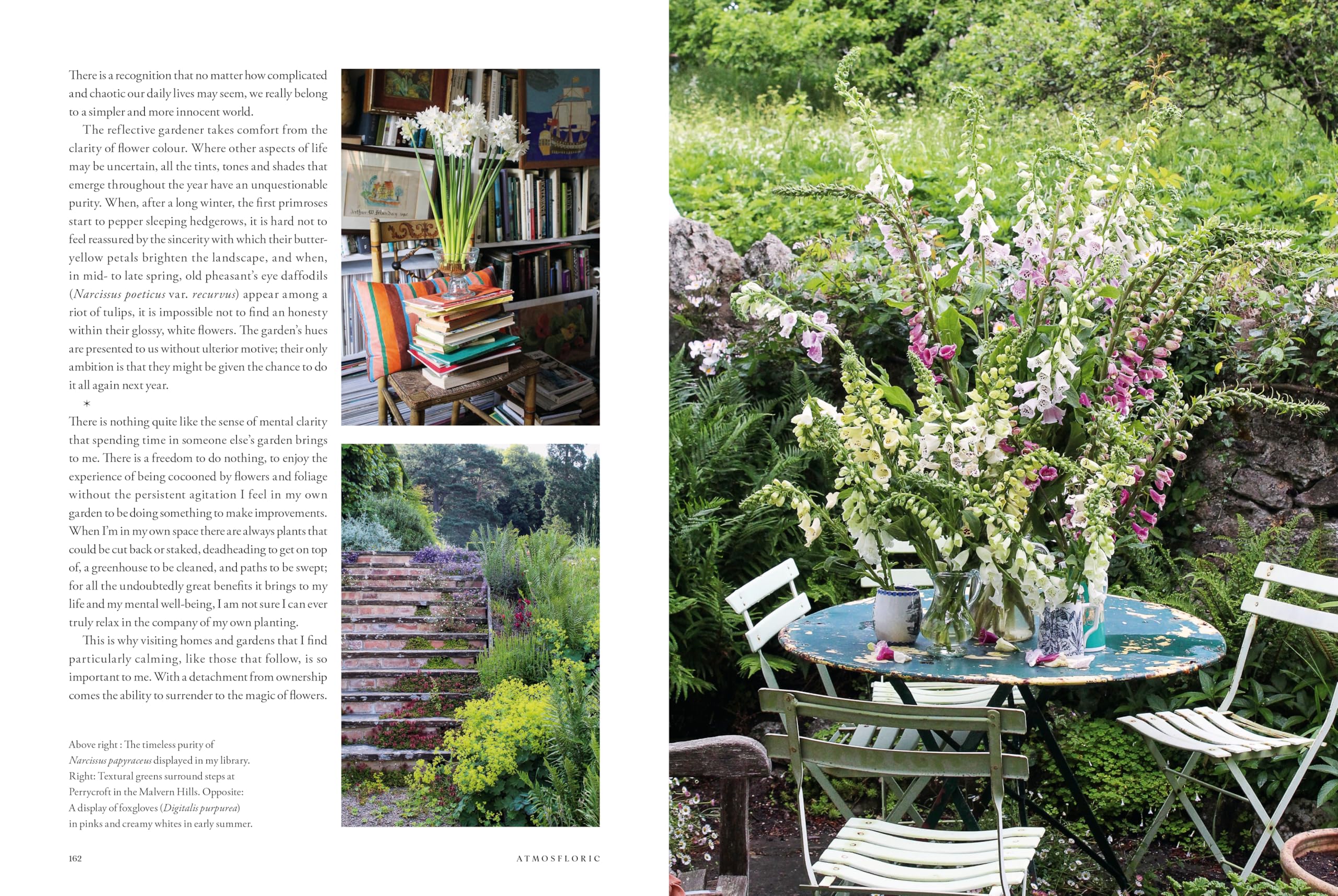 Mitchell Beazley Atmosfloric: Flower colour in home and garden | Hardcover Book 5