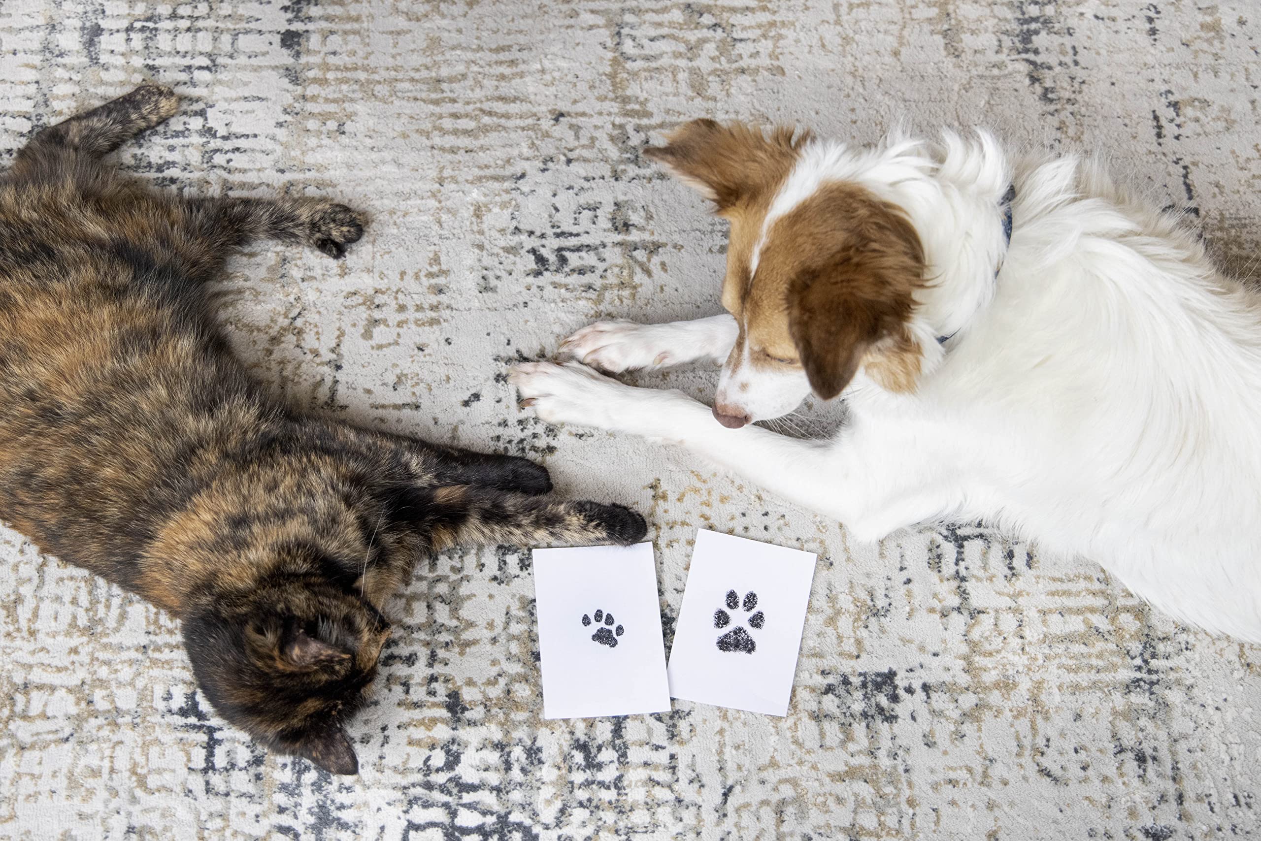 Pearhead Paw Print Clean Touch Ink Pad Kit for Dogs and Cats | Mess-Free Keepsake 8