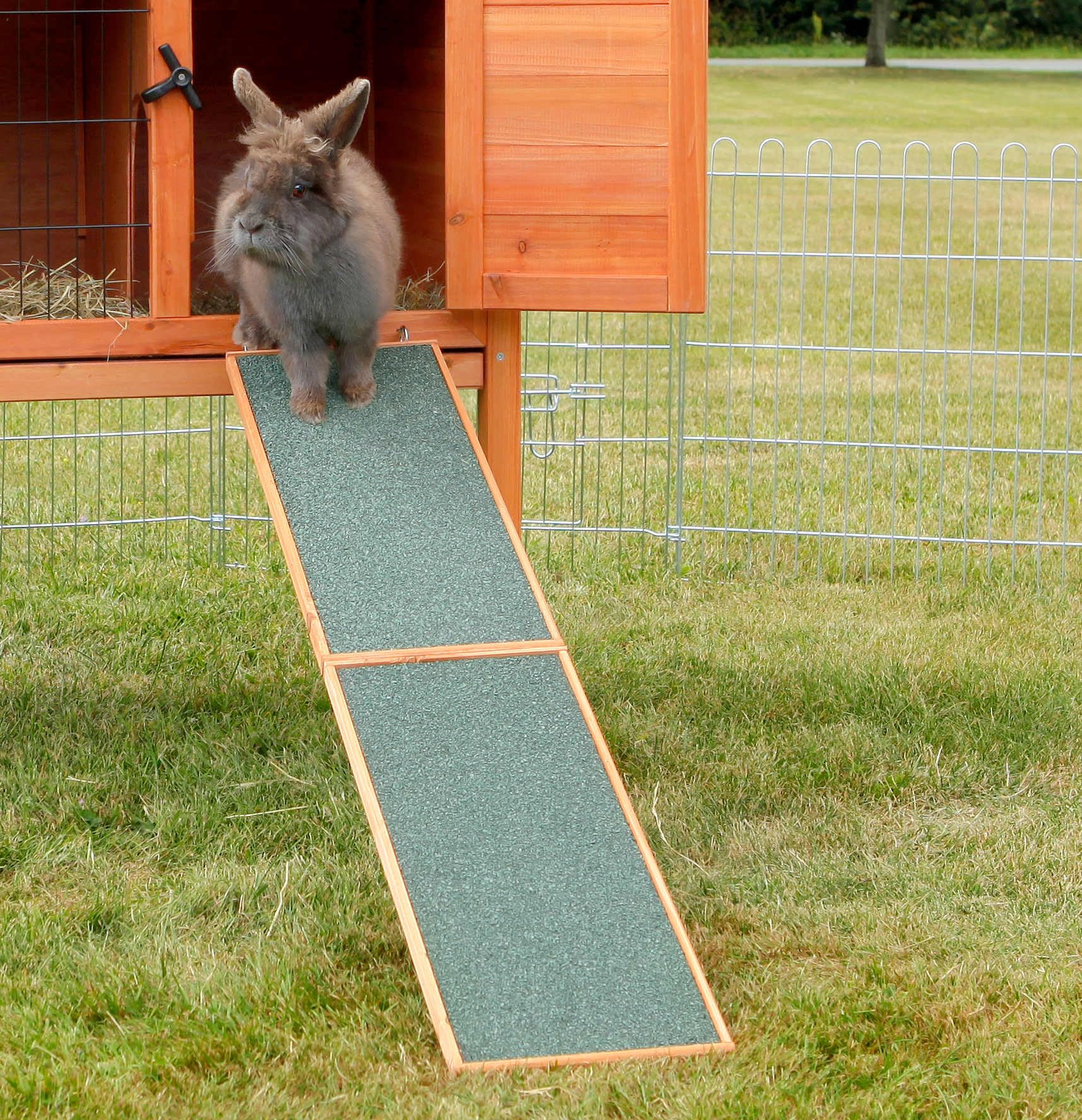 TRIXIE Natura Wooden Rabbit Ramp - Glazed Pine | Green | 498x202x35mm 3