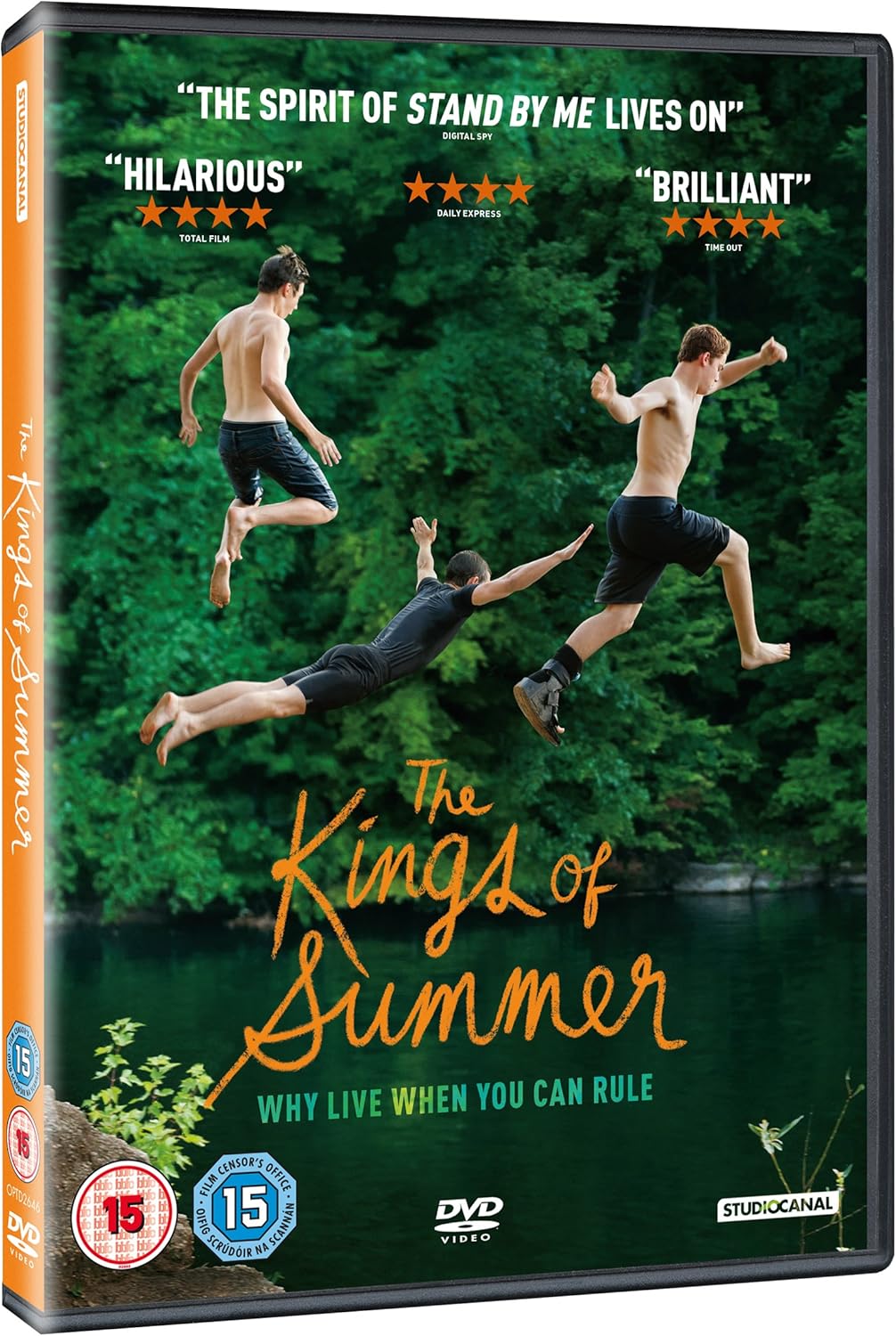 The Kings of Summer (2013) - DVD Theatrical Cut (Region 2)