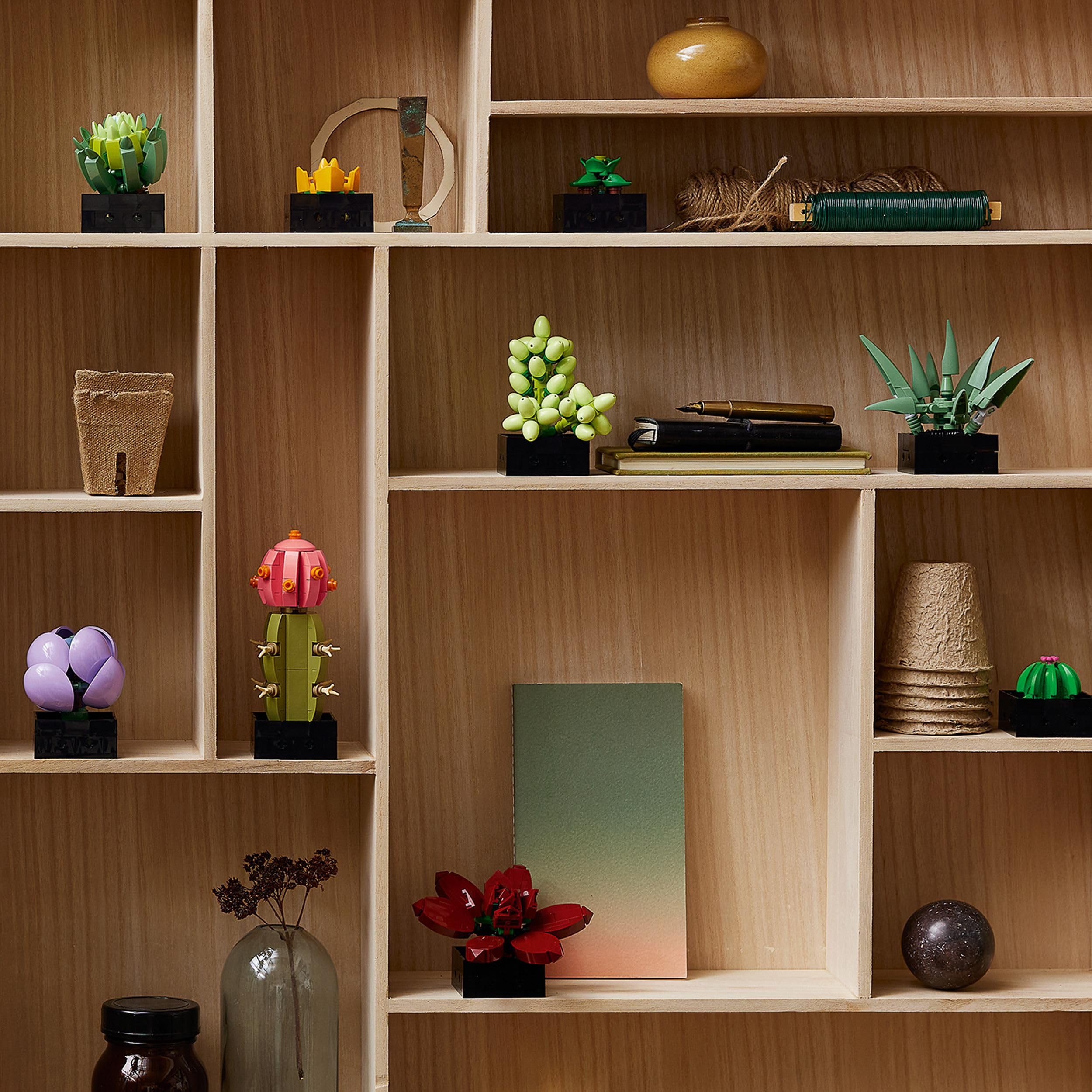 LEGO 10309 Icons Sukkulenten-Set – Künstliche Pflanzen für Erwachsene, Heimdeko &amp; Bauen 10