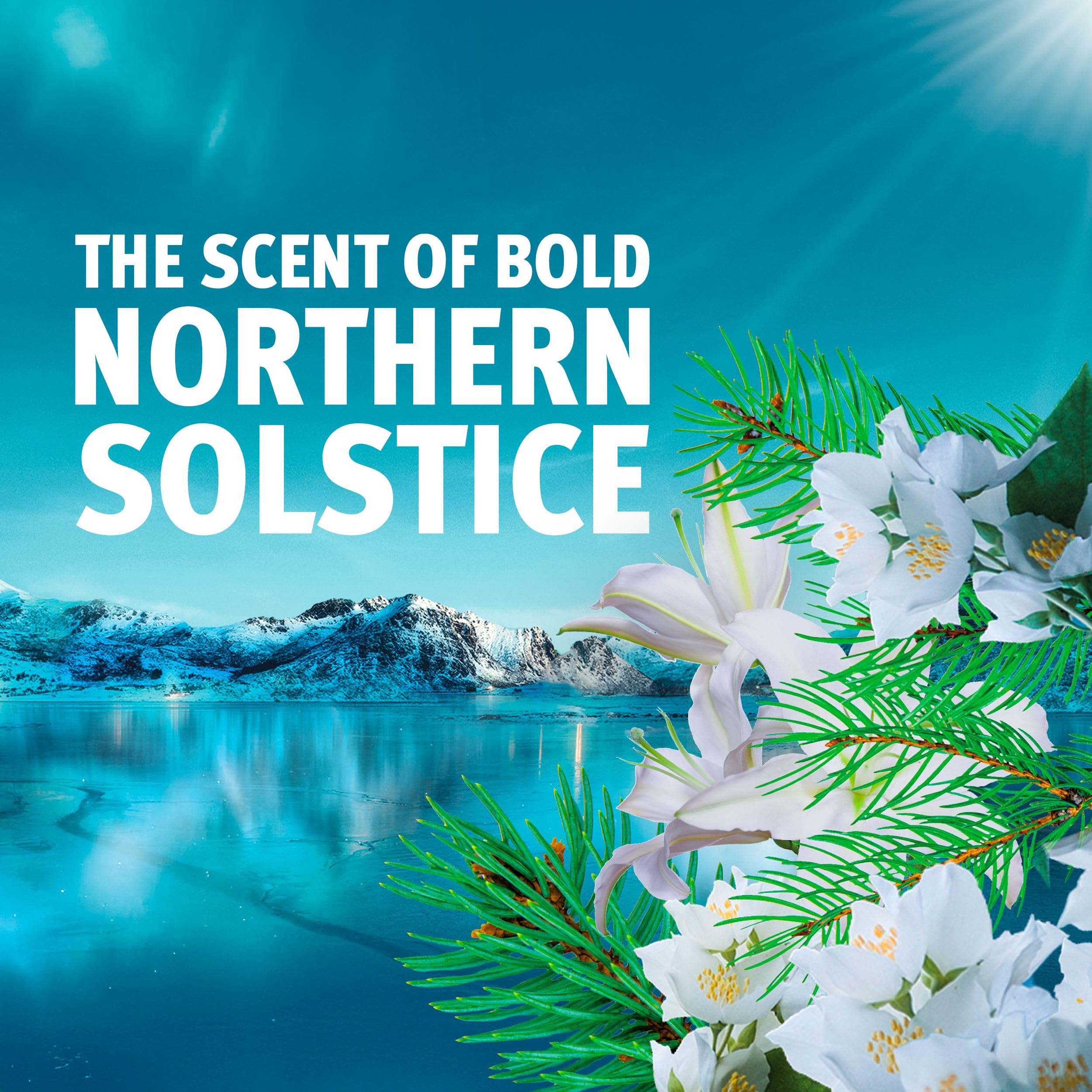 Bold Northern Solstice Liquid Detergent Gel - 40 Washes, 1.32L 2
