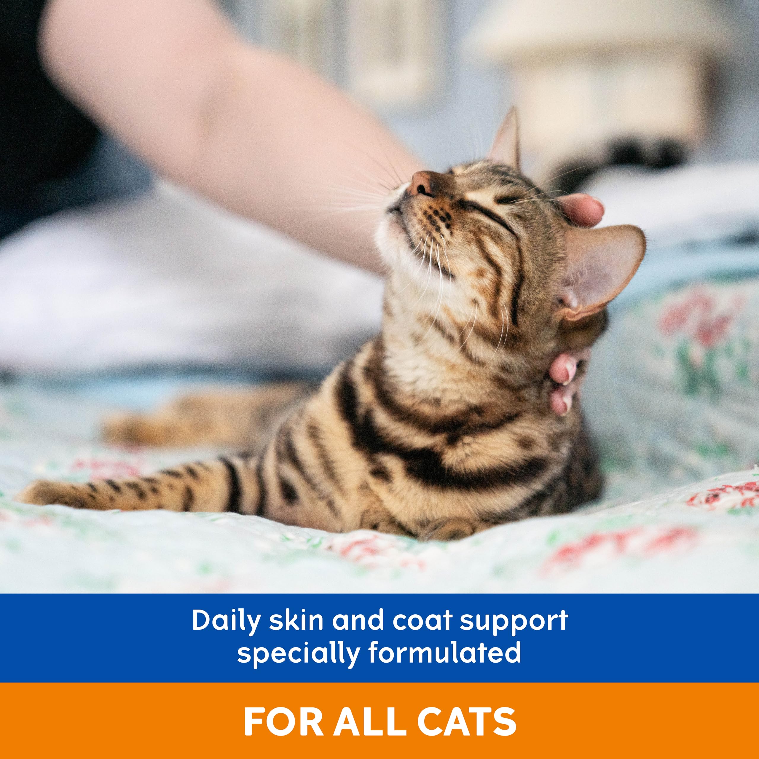 YuMOVE Skin & Coat Care Moulting for All Cats | Reduces Excess Moulting | 50 ml Oil 3