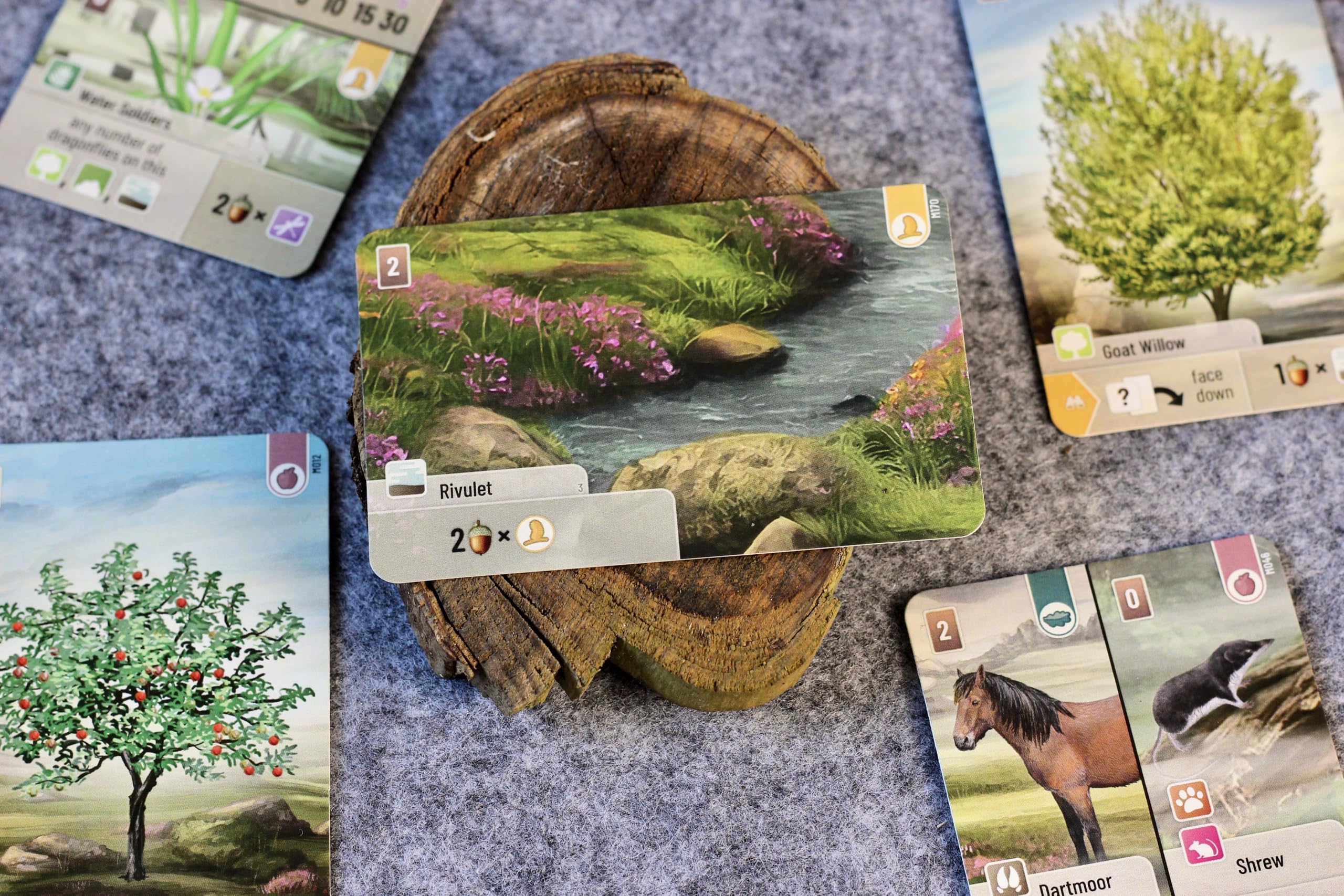 Asmodee Forest Shuffle: Dartmoor Family Card Game | Ages 10+ | 2-4 Players