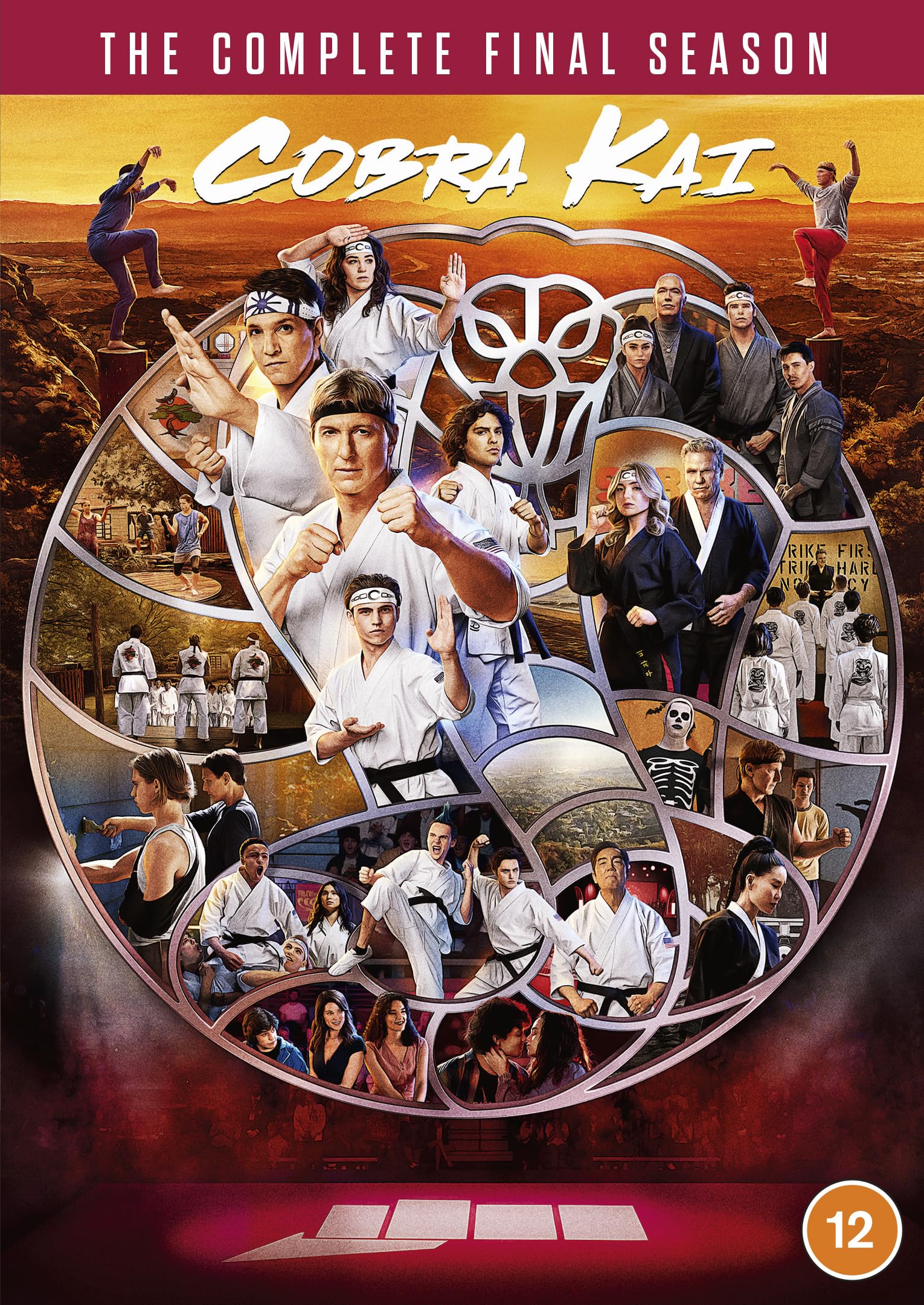 Cobra Kai: Season 6 [DVD]