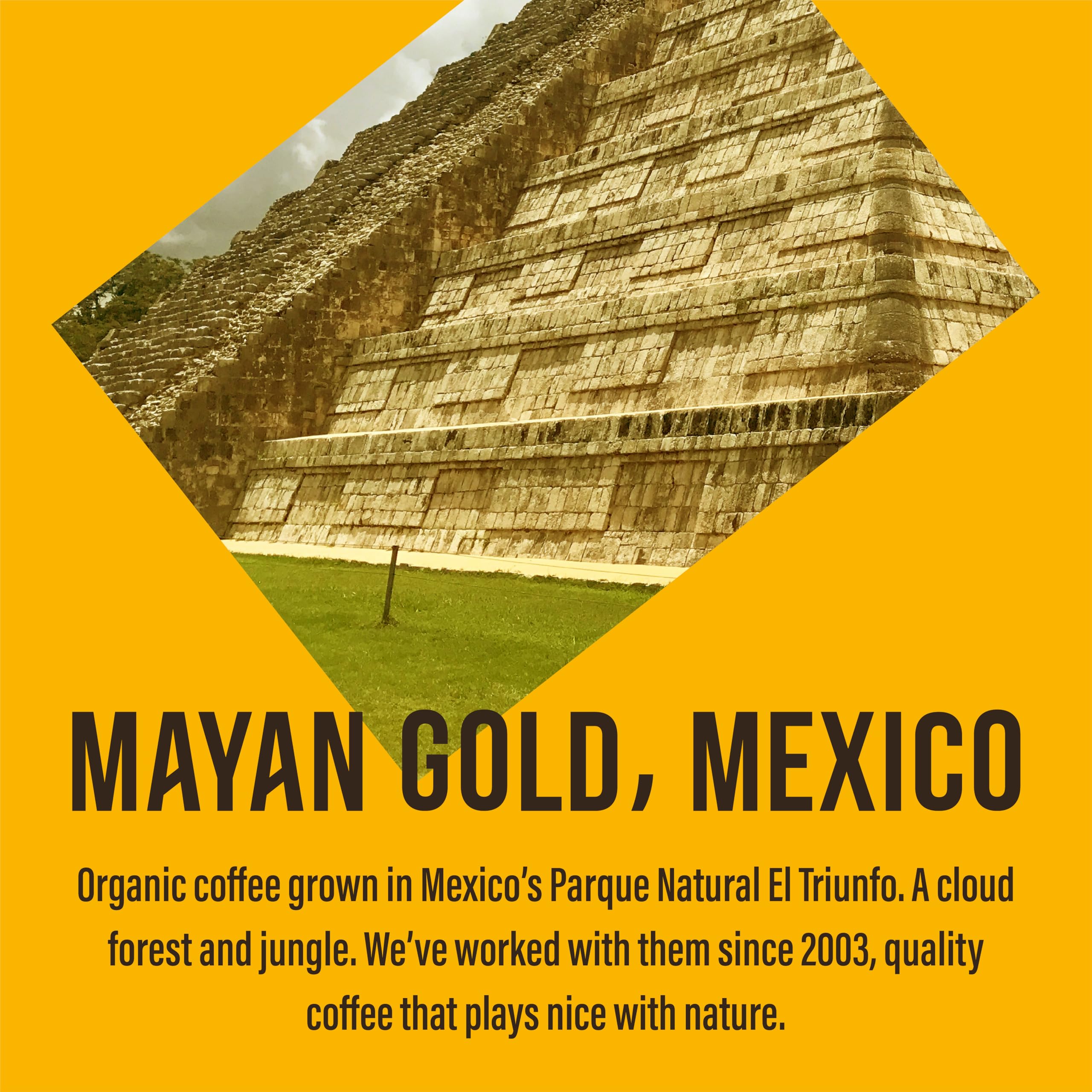 Café Direct Mayan Gold Organic Whole Coffee Beans - Dark Roast, Caramel Notes | 200g Pack of 6 3