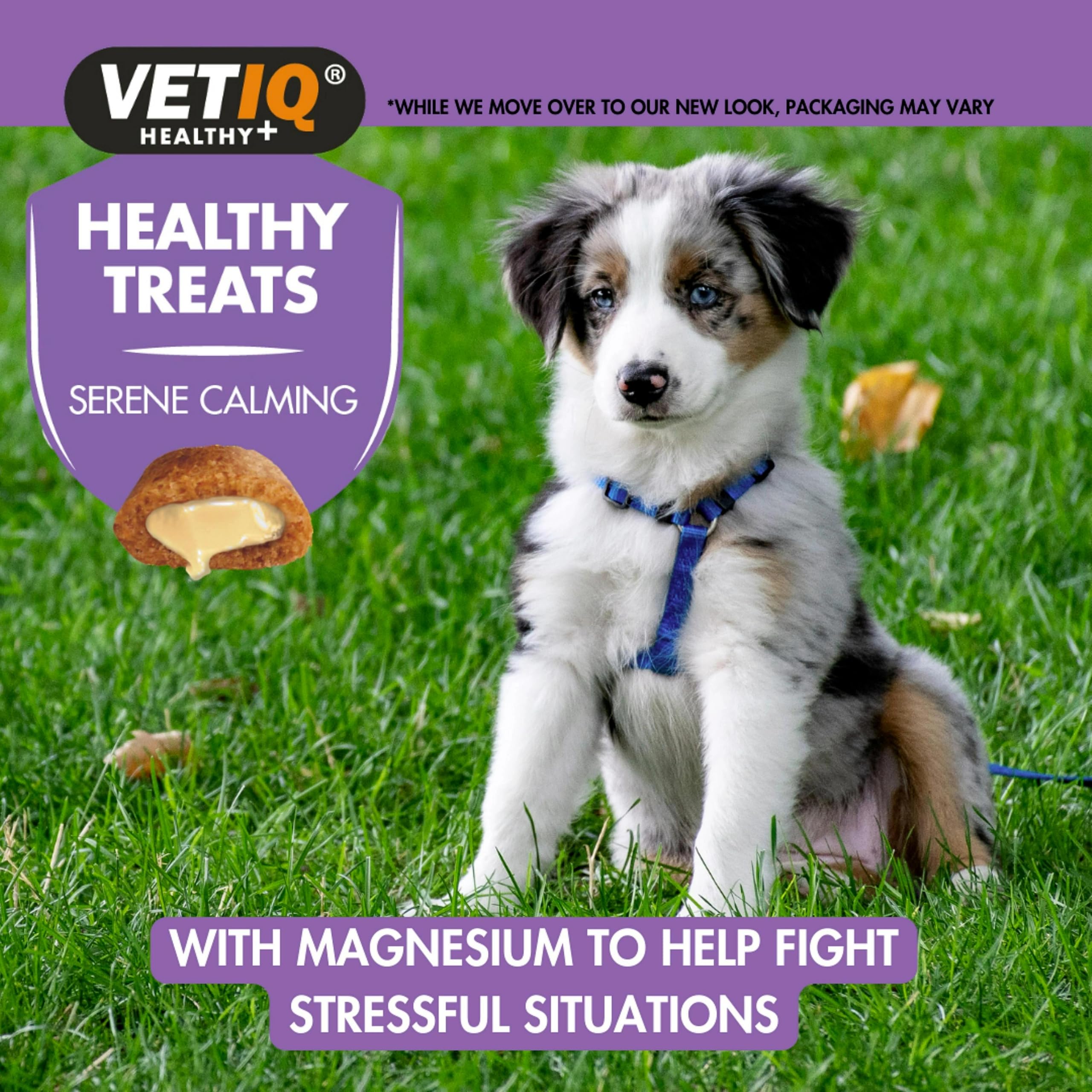 VETIQ Serene Calming Treats - Natural Anxiety Relief for Small Dogs & Puppies | 6 x 50g Bags 7