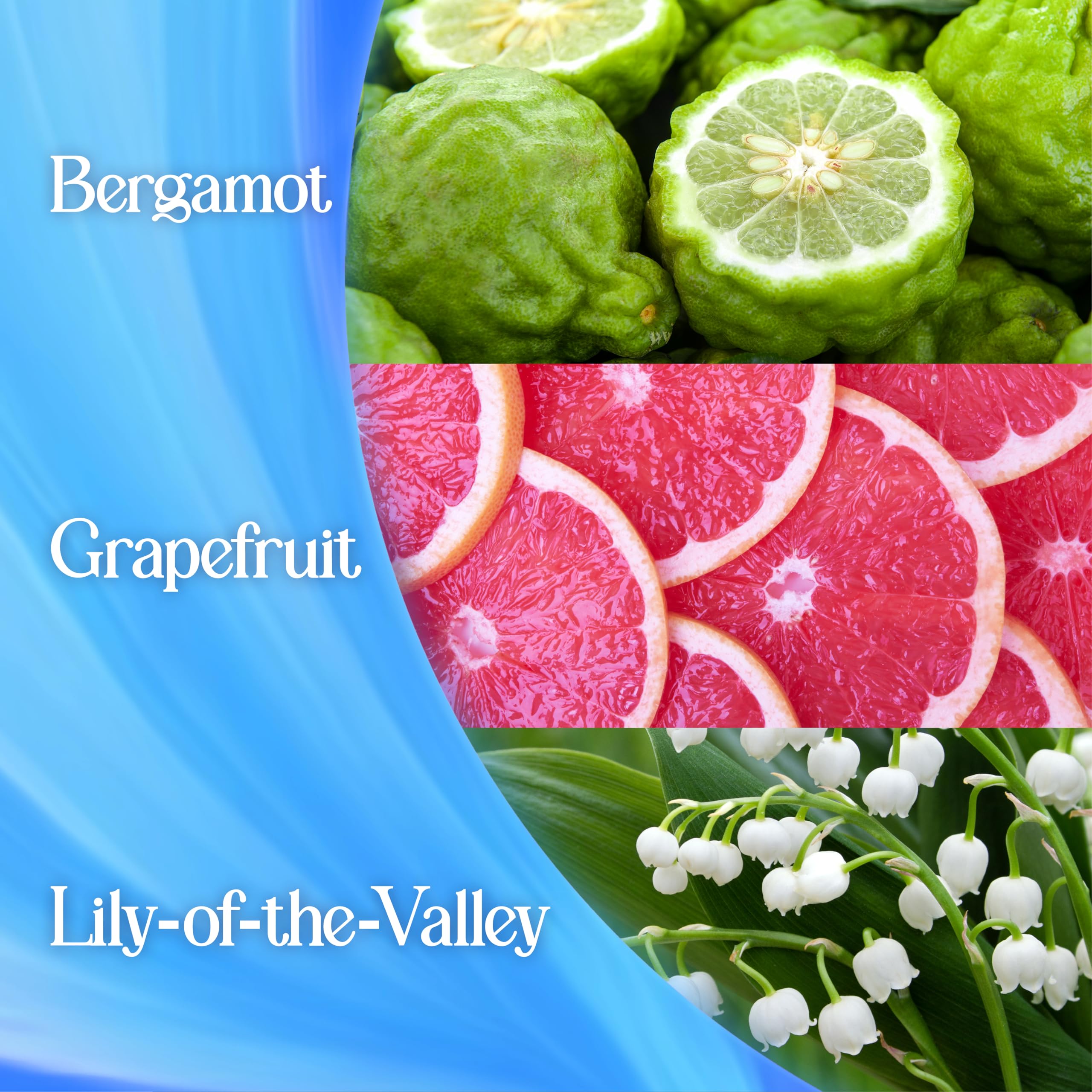 Surf - Magnifi-Scent Wash Aqua Bliss Laundry Liquid Detergent for Short Cycle 6