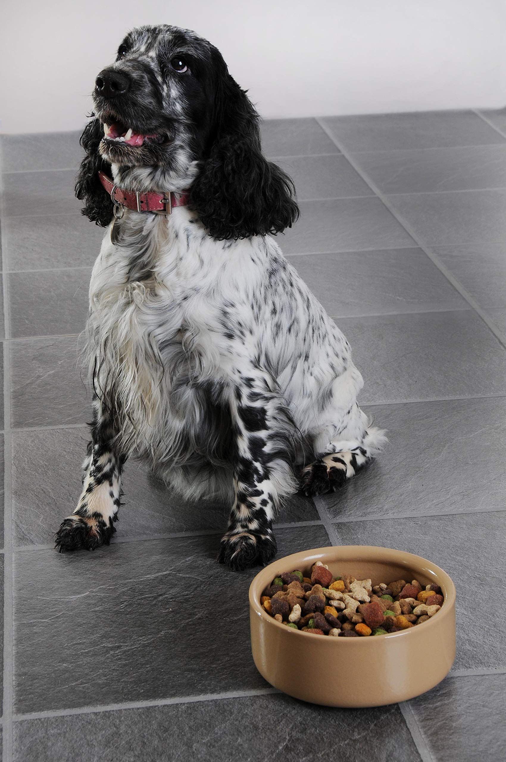 Mason Cash Cane Lettered Stoneware Dog Bowl - 1.2L Capacity | Durable | Medium/Large Breeds 5