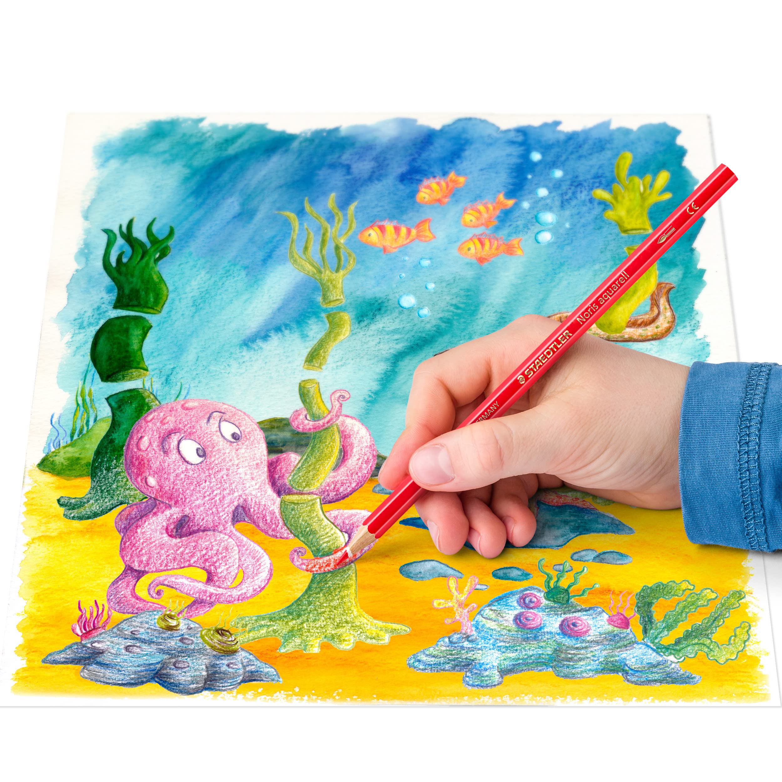 STAEDTLER Noris Club Aquarell Watercolour Pencils - 24 Assorted Colours | Erasable Lead | Anti-Break System 4