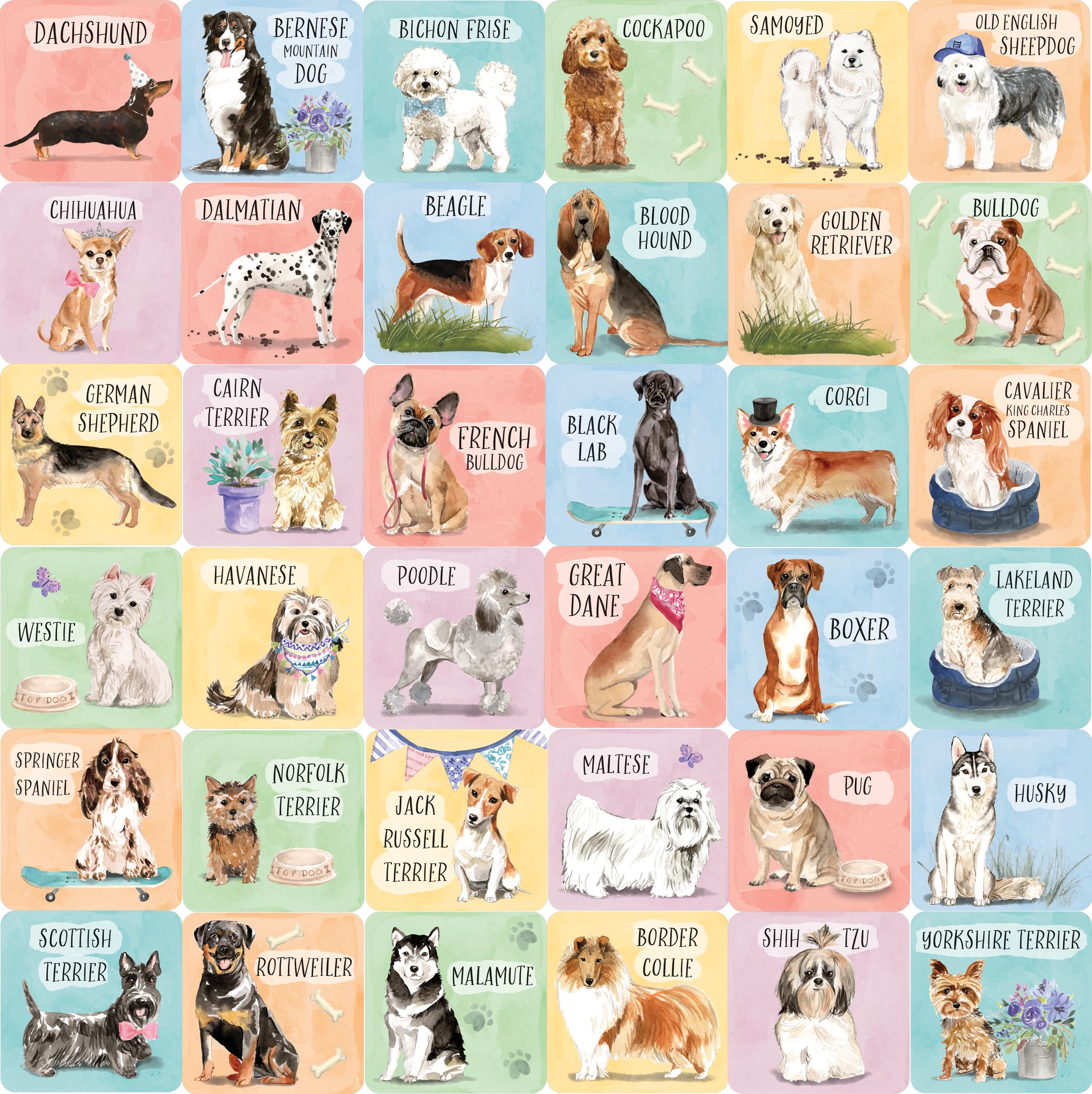 Peter Pauper Press Dogs Memory Match Game - 72 Cards | Ages 4+ | Multicolor