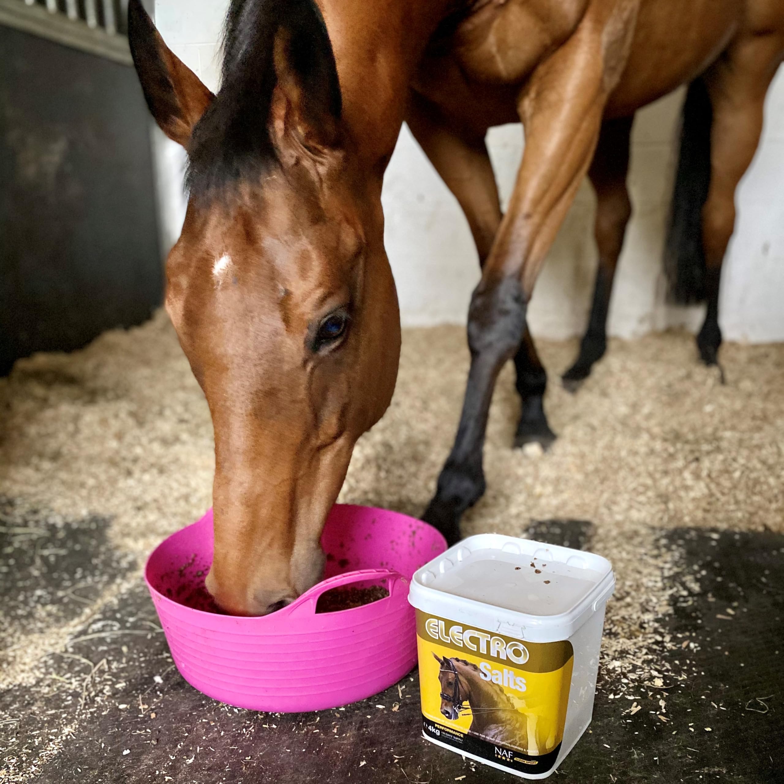NAF Electro Salts 1kg - Replaces Electrolytes Lost During Exercise | Supports Rehydration & Recovery | For Performance & Working Horses 3