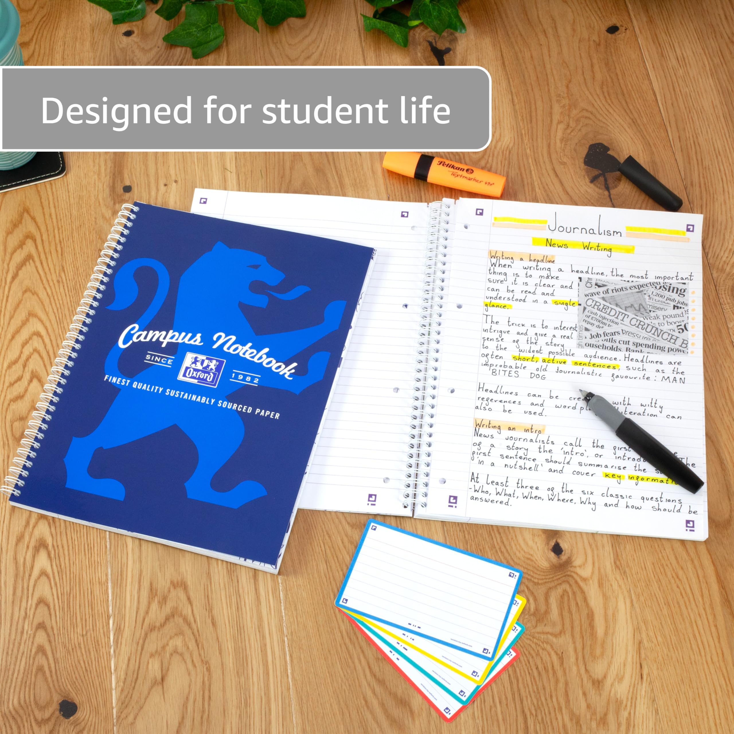 Oxford Campus A4+ Wirebound Notebook - 140 Pages, 8mm Lined with Margin, Perforated, Assorted Pack of 3 4