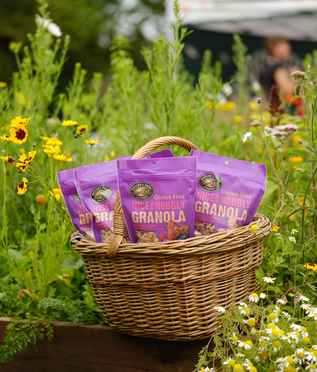 Nature's Path Organic Gluten Free Berry Granola with Yogurt Chunks 300g
