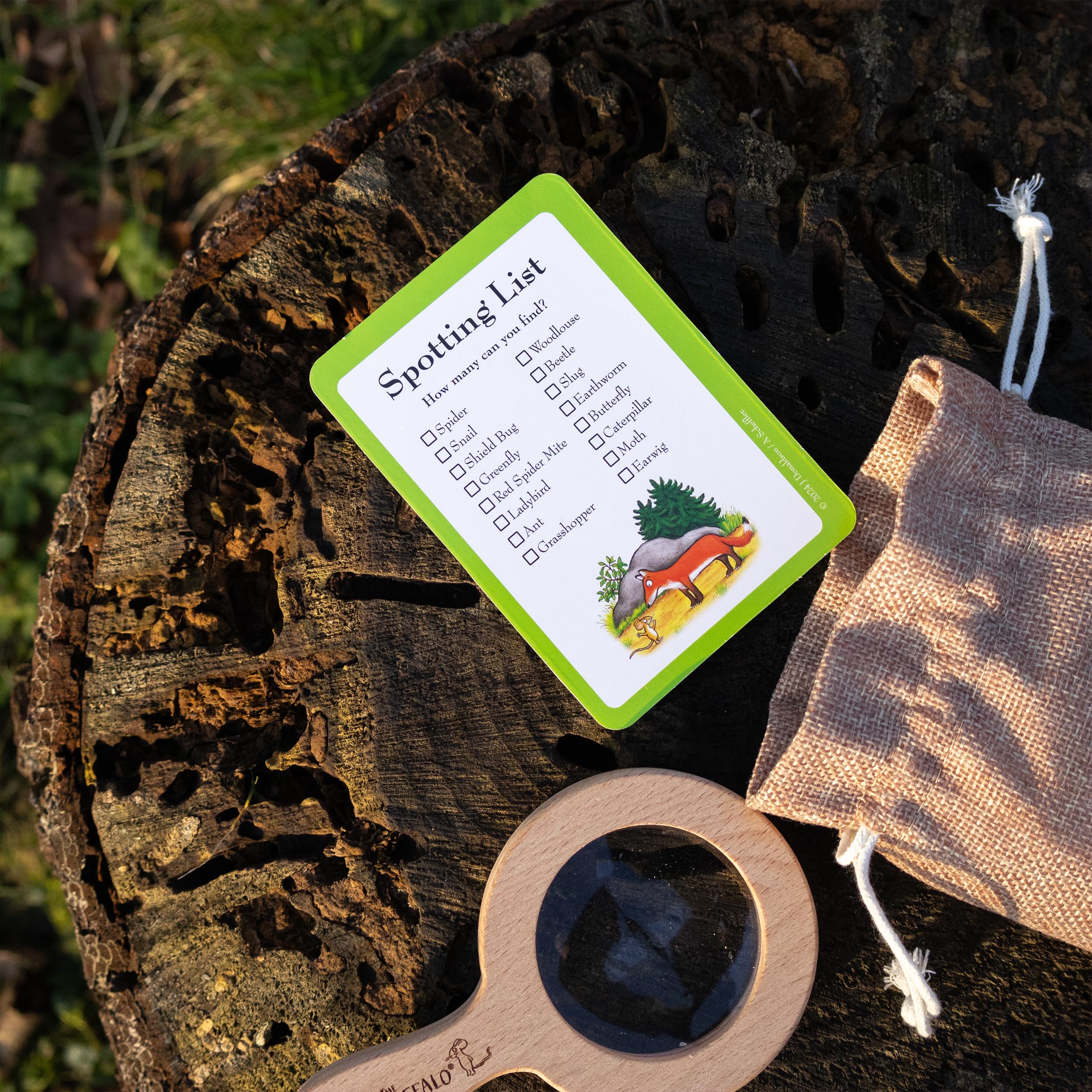 The Gruffalo Bug Spotter Activity Set - Nature Exploration for Kids 15