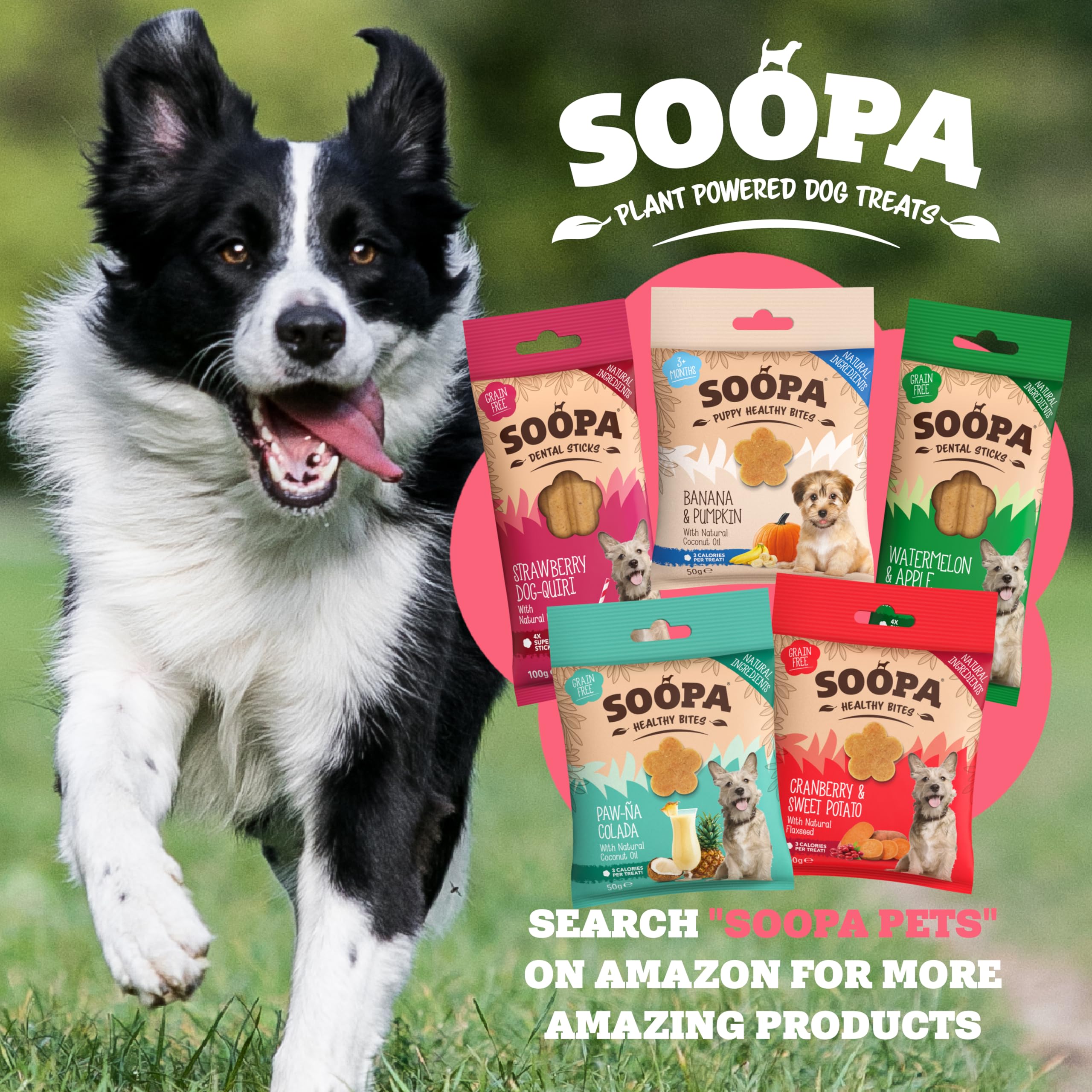 Soopa MINI Dental Sticks - Banana & Pumpkin Flavor | 100g Bag | Hypo-Allergenic 7
