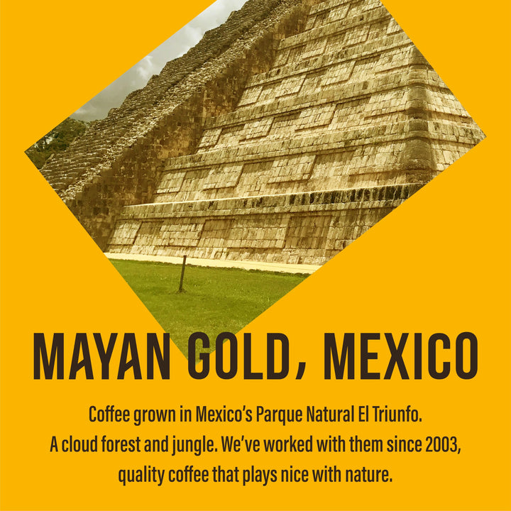 Cafédirect Mayan Gold Single Origin Freeze Dried Instant Coffee 100g