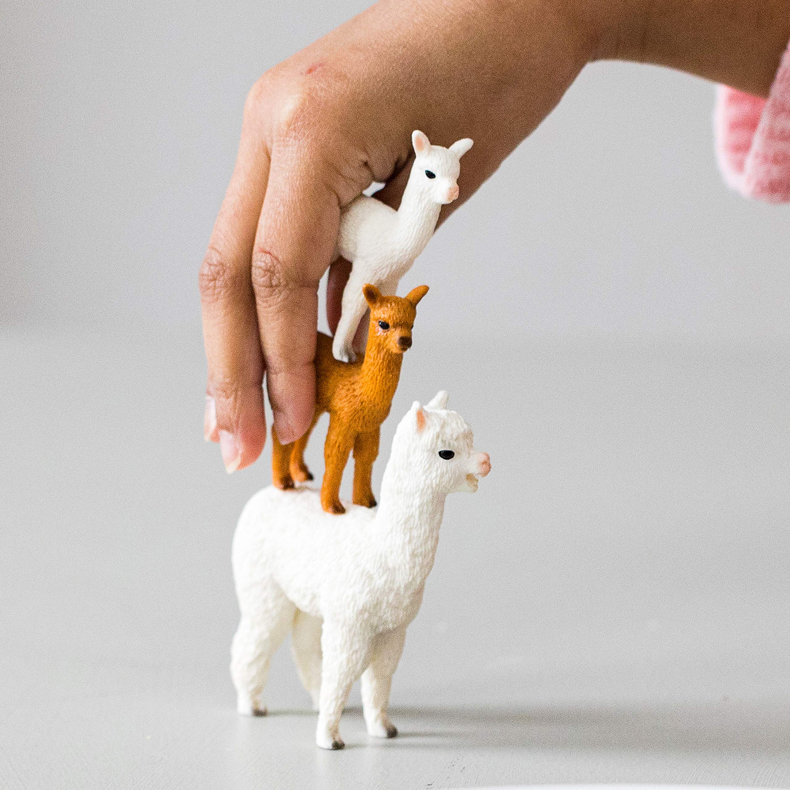 Schleich Wild Life Alpaca Family Set | Ages 3-8 | Multi-colour Plastic Figures 3