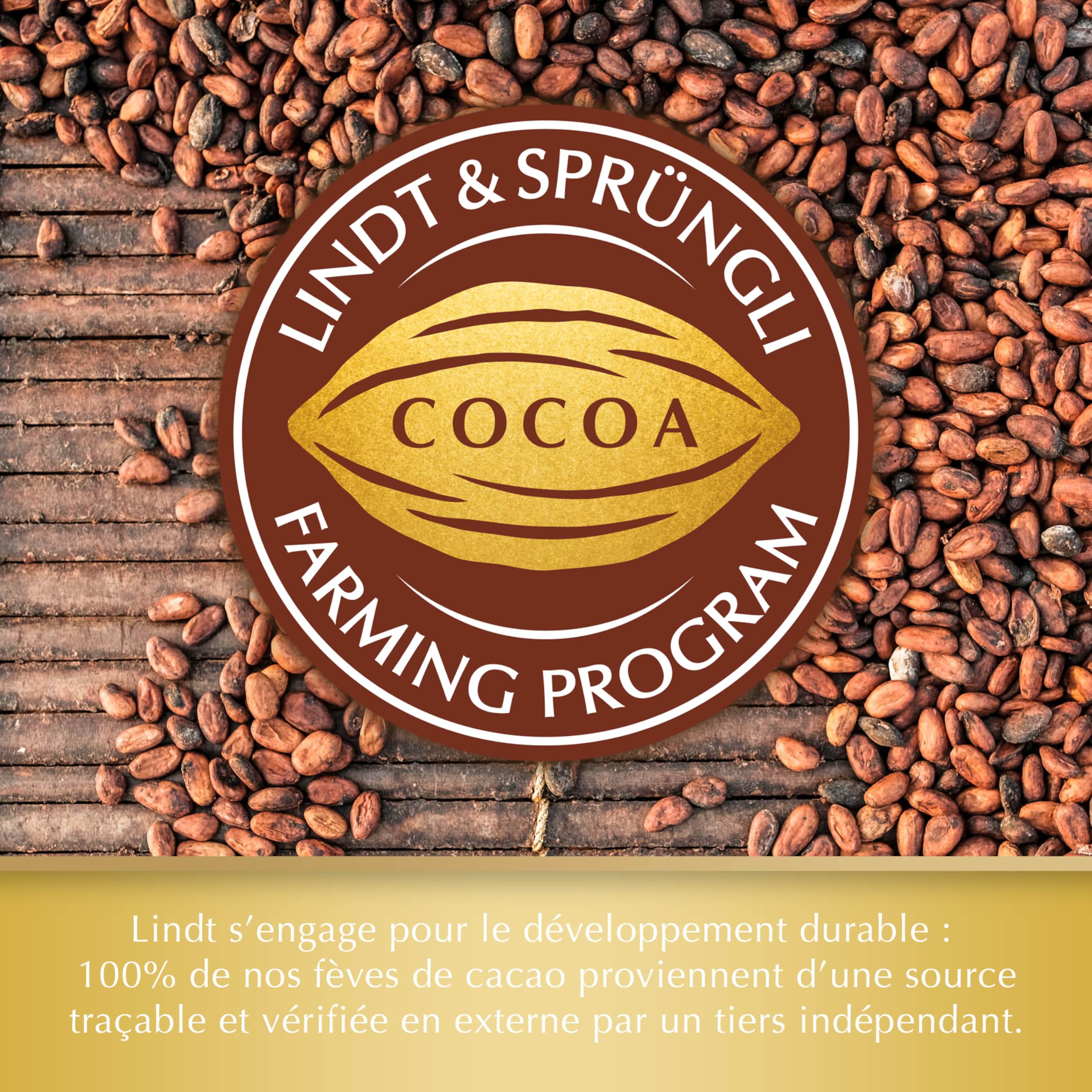 Lindt Swiss Milk Chocolate Hazelnut and Raisin Gold Bar 300g 9