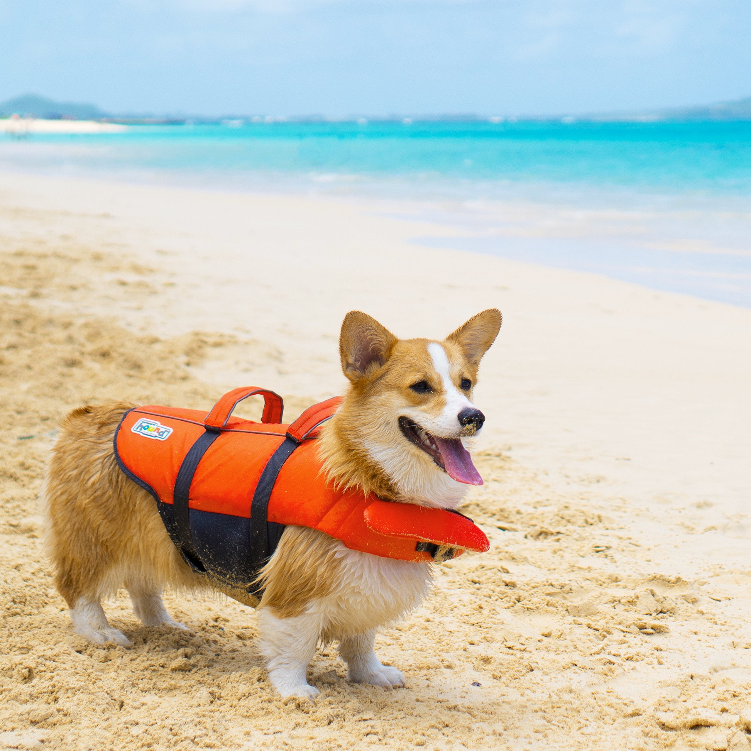 Outward Hound Granby Splash Dog Life Jacket - Small, Orange | Adjustable, Reflective Accents 9