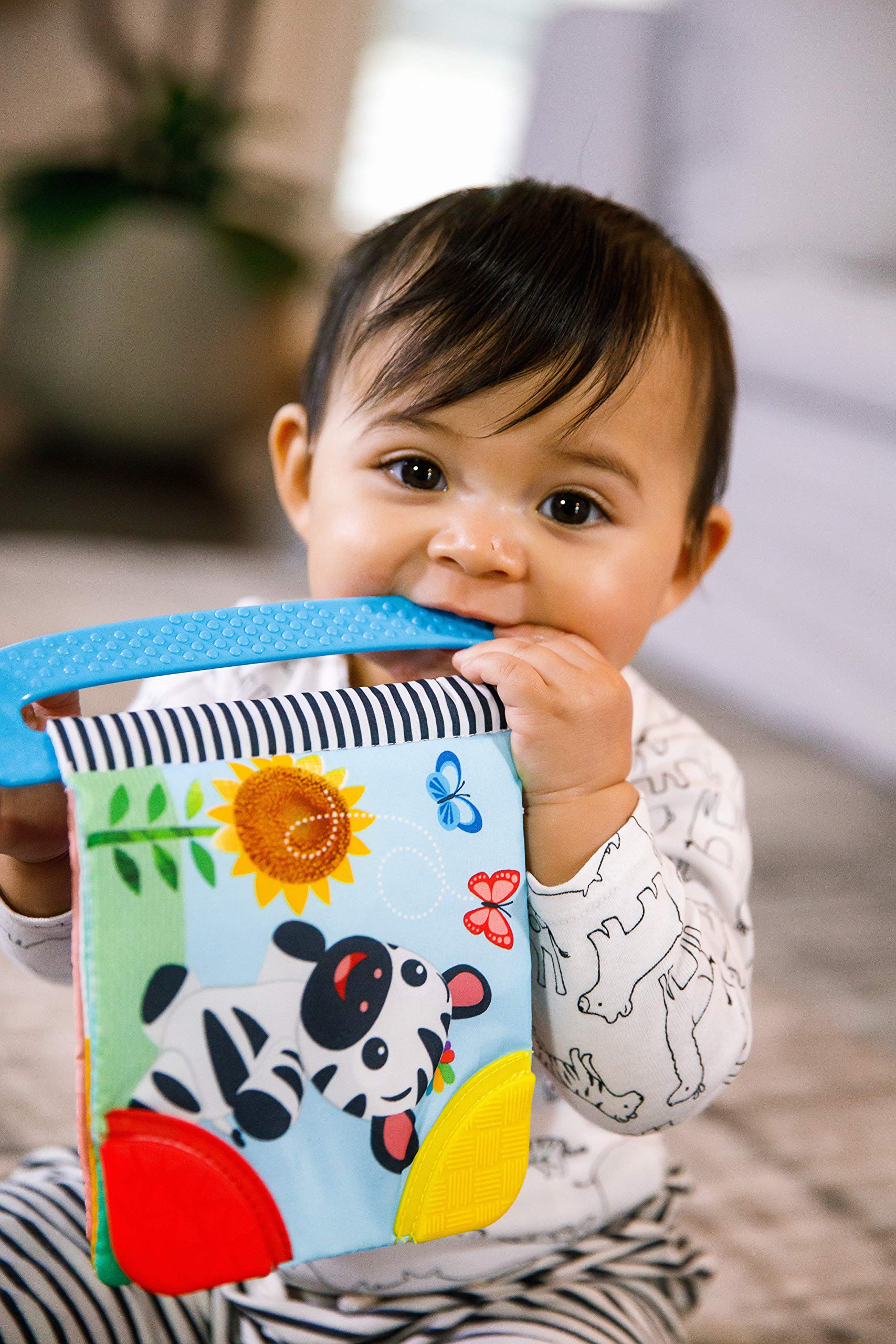 Baby Einstein Curious Explorers Teether Book Take-Along Toy for Newborns + 3