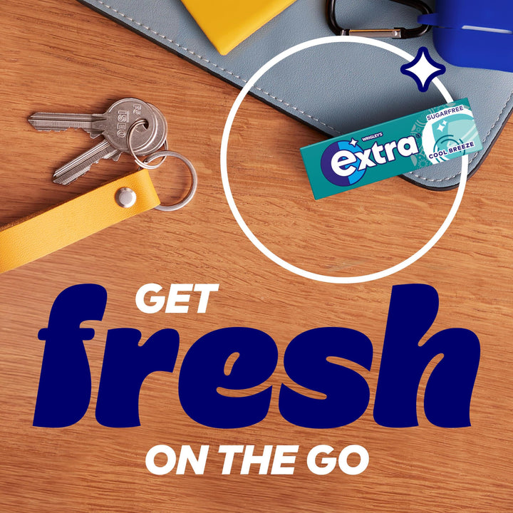 Extra - Cool Breeze Sugar Free Chewing Gum, 30 Packs of 10 Pieces (300 Pieces Total)