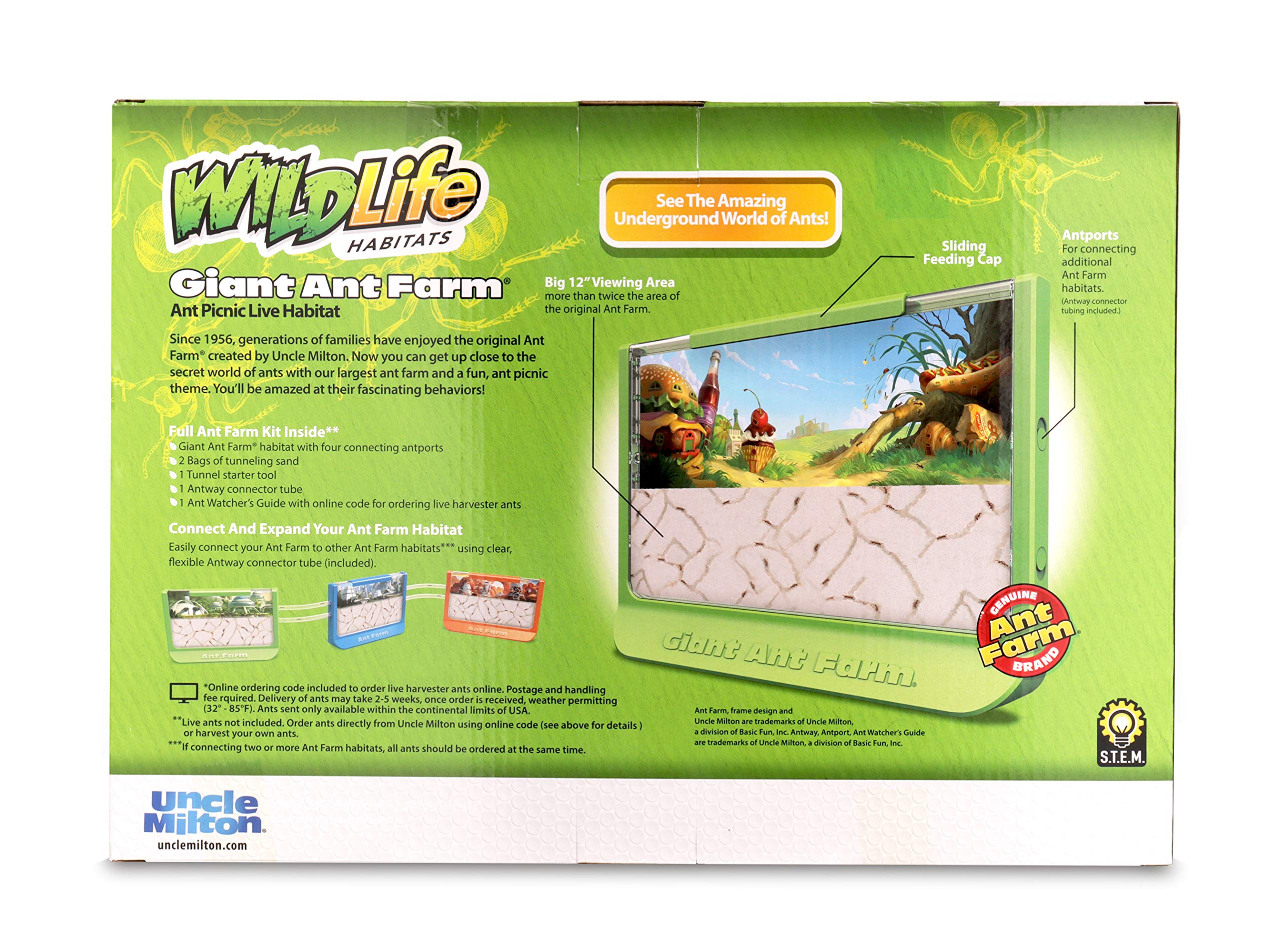 Uncle Milton Giant Ant Farm - Extra Large Viewing Area with Ant Picnic Scene 7