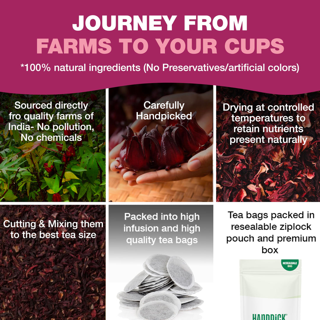 HANDPICK Hibiscus Tea Bags - 100 Count | 100% Pure Herbal Tea | Brew Hot or Iced | Carbon-Neutral & Plastic-Neutral